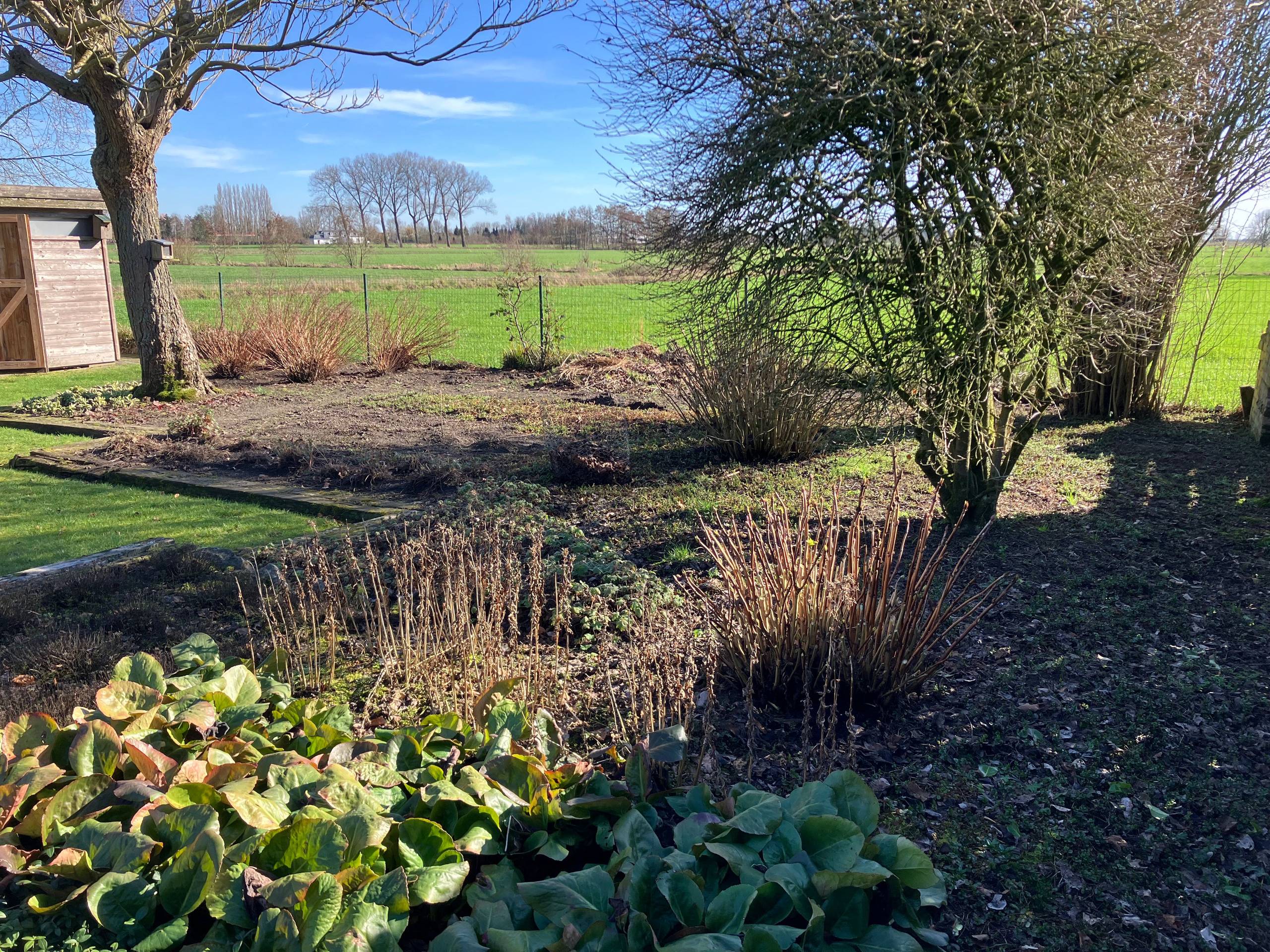 Huis te koop in Elversele met 3 slaapkamers - foto 3