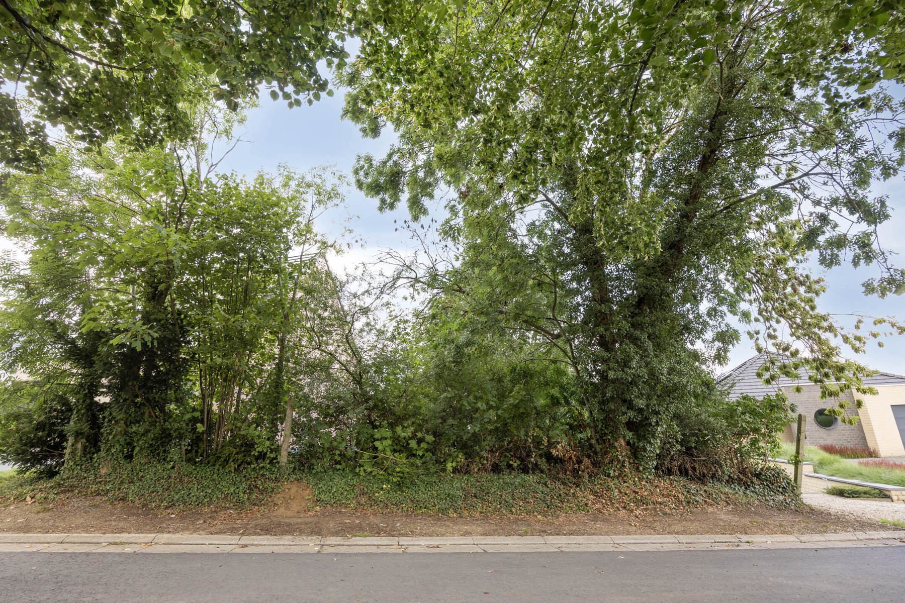 Prachtig gelegen bouwgrond 6a 63ca op wandelend afstand van het Hallerbos. - foto 3