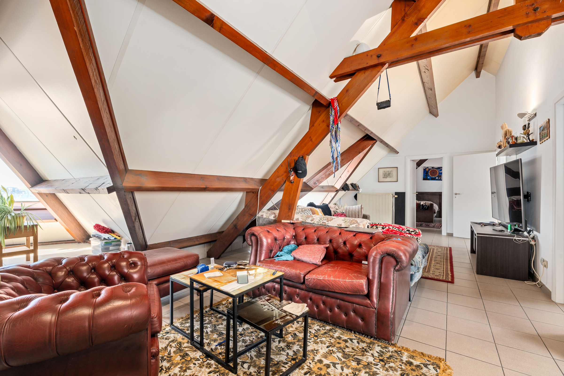 Ruime opslagruimte/loods +zolder ingericht als appartement - foto 4