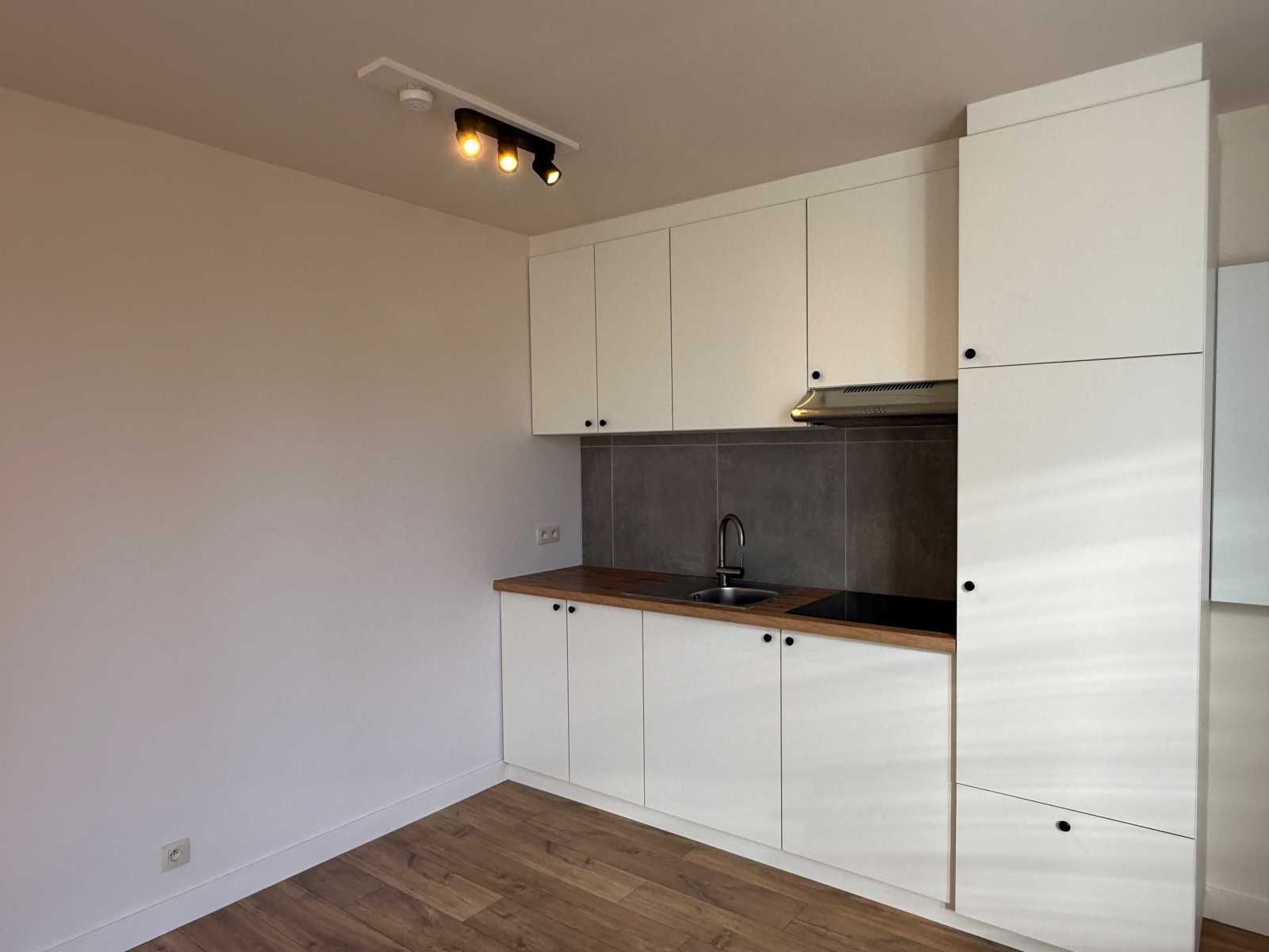 Gerenoveerde woning op 3a 13ca - foto 4