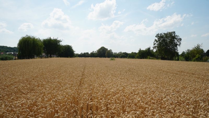 Bouwgrond van 6 are 10 ca voor half-open-bebouwing - photo 4