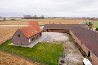 Actief varkensbedrijf met 250 zeugen en 80 opfokzeugen te koop te Leisele.<br />Het bedrijf is nog in volle uitbating, <br />PAS-referentie : mestbankaangifte 2021 : 668 biggen, 246 productieve zeugen, 43 opfokzeugen 20-110 kg, 44 jonge zeugen > 110 kg.<br />17.122,51 nutriëntenemissierechten voor varkens<br />Milieuvergunning voor 269 zeugen, 4 beren en 169 andere varkens momenteel vergund tot 2033.<br />Zeugenstallen gebouwd in 1993, 1999 en 2013<br />Verzorgd bedrijf met ruime bedrijfswoning en stallen op 1,5 ha.<br />Gunstige ligging mbt impactscore, vergunning.....<br />