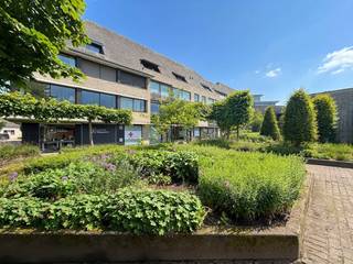 Ontdek dit lichtrijke appartement op een uitstekende ligging in het centrum van Sint-Kruis, pal naast de kerk en omgeven door groen en een leuk parkje. Dankzij de centrale locatie bevinden winkels, openbaar vervoer, scholen en alle dagelijkse voorzieningen zich op wandelafstand. Bovendien bereik je het centrum van Brugge vlot met de fiets, wat deze ligging bijzonder praktisch en gegeerd maakt. <br />Het appartement geniet van een mooie natuurlijke lichtinval en biedt een aangename leefruimte met half-open keuken. Met drie slaapkamers is er voldoende ruimte voor gezinnen, thuiswerk of extra bergruimte. Daarnaast beschikt het appartement over een kelderberging en een ondergrondse autostaanplaats, wat altijd praktisch is en extra comfort biedt. Een interessante opportuniteit voor wie ruim en centraal wil wonen nabij centrum Brugge.<br /><br /><span>2de Verdieping (129m2):</span><br />Inkomhal (6,5m2) - lichtrijke living (38m2) met aansluitend balkon (2,6m2) - half-open keuken (11m2) ingericht met oven, keramische kookplaat, dampkap, kasten en werkblad in composiet - berging (3m2) met aansluiting wasmachine - nachthal (4,5m2) met toilet + lavabo - 3 slaapkamers (12,2m2, 12,2m2, 17,2m2) - badkamer (6,2m2) met ligbad/douche, spiegel en twee lavabo's<br /><br />Autostaanplaats (nr. 21) - private kelderberging (nr. 18)<br /><br /><span>Algemeen:</span><br />- zeer centraal gelegen<br />- op wandelafstand van de winkels, de school, openbaar vervoer, ...<br />- omgeven door groen en een leuk parkje<br />- op fietsafstand van Brugge en op 15min van de E40<br />- gemeenschappelijke kosten: € 296/m (incl. verwarming, verzekering, syndicus...)<br />- de autostaanpaats is verhuurd aan € 65/m (vooropzeg = 1 maand)<br />- nieuwe CV-ketel (2025)<br />- Sted. inlichtingen: in aanvraag<br /><br /><br /><span>Dit zoekertje omvat enkele AI-gegenereerde visualisaties</span>