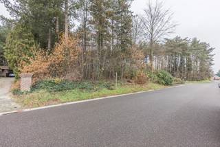 <p>Deze bouwgrond gelegen in de Hommelbeek is de uitgelezen kans voor een gezin met kinderen of voor wie graag in alle stilte centraal wil genieten.</p>
<p><strong>Specificaties van het perceel:<br /></strong>- Bouwgrond van 10 are 76 centiare (E1632m)<br />- Achterliggende bosgrond van 24 are 28 centiare (inclusief de verkoopprijs) (E1632d2)<br />- Maximale bouwdiepte van 17 meter<br />- Minimaal 3 meter te bouwen van de zijdelingse perceelsgrens<br />- Te bouwen 12 meter uit de as van de weg</p>
<p>Bomen op het perceel mogen verwijderd worden in functie van het bouwen van een woning. Bij de bouwvergunning zal een kapvergunning afgeleverd worden om de bomen te verwijderen die binnen de bouwzone staan en die de veiligheid in gedrang brengen rond de woning.</p>
<p><strong>Belangrijke troeven:<br /></strong>- Gelegen op 1,5 km van de markt van Tessenderlo-Ham<br />- Vlotte verbinding met de E313<br />- Alle faciliteiten en voorziening van Tessenderlo-Ham op fietsafstand<br />- Residentiële ligging<br />- Nabij natuurreservaat Gerhagen<br /><br />Interesse?<br />Maak snel uw afspraak via 013 66 62 08 of info@immovl.be.</p>