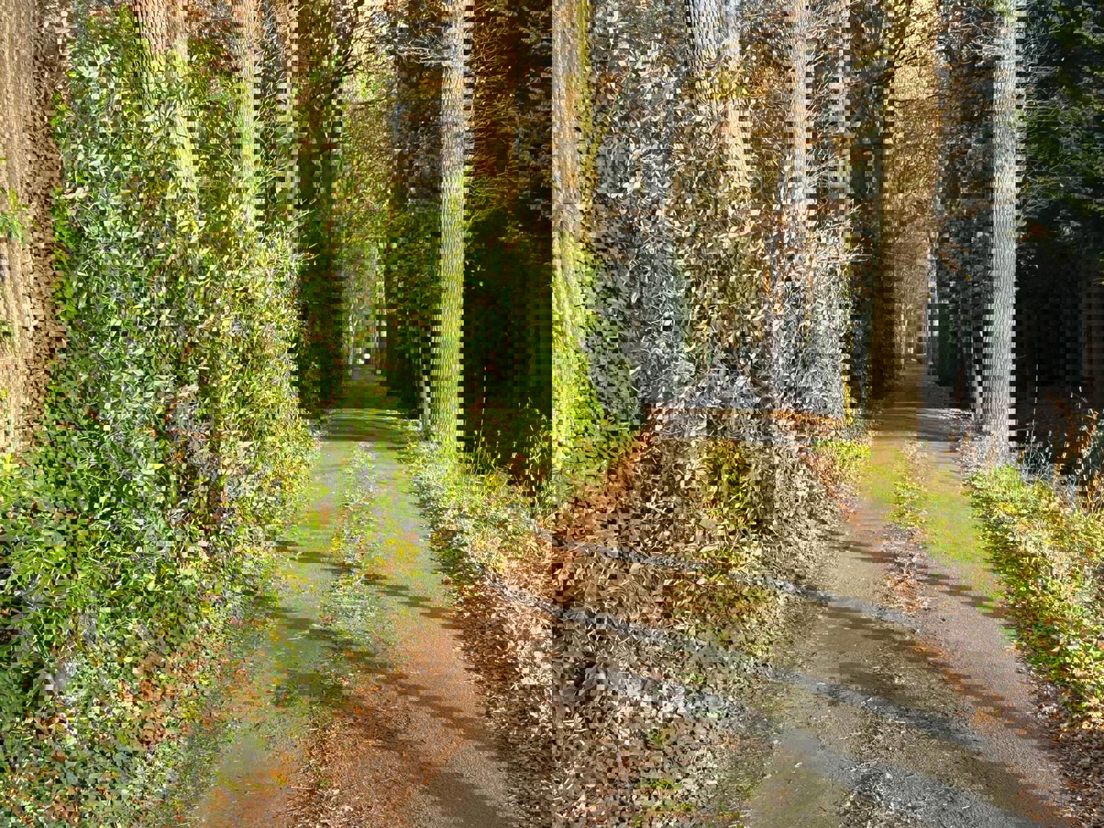 Terrain à vendre à Kapellen - photo 4