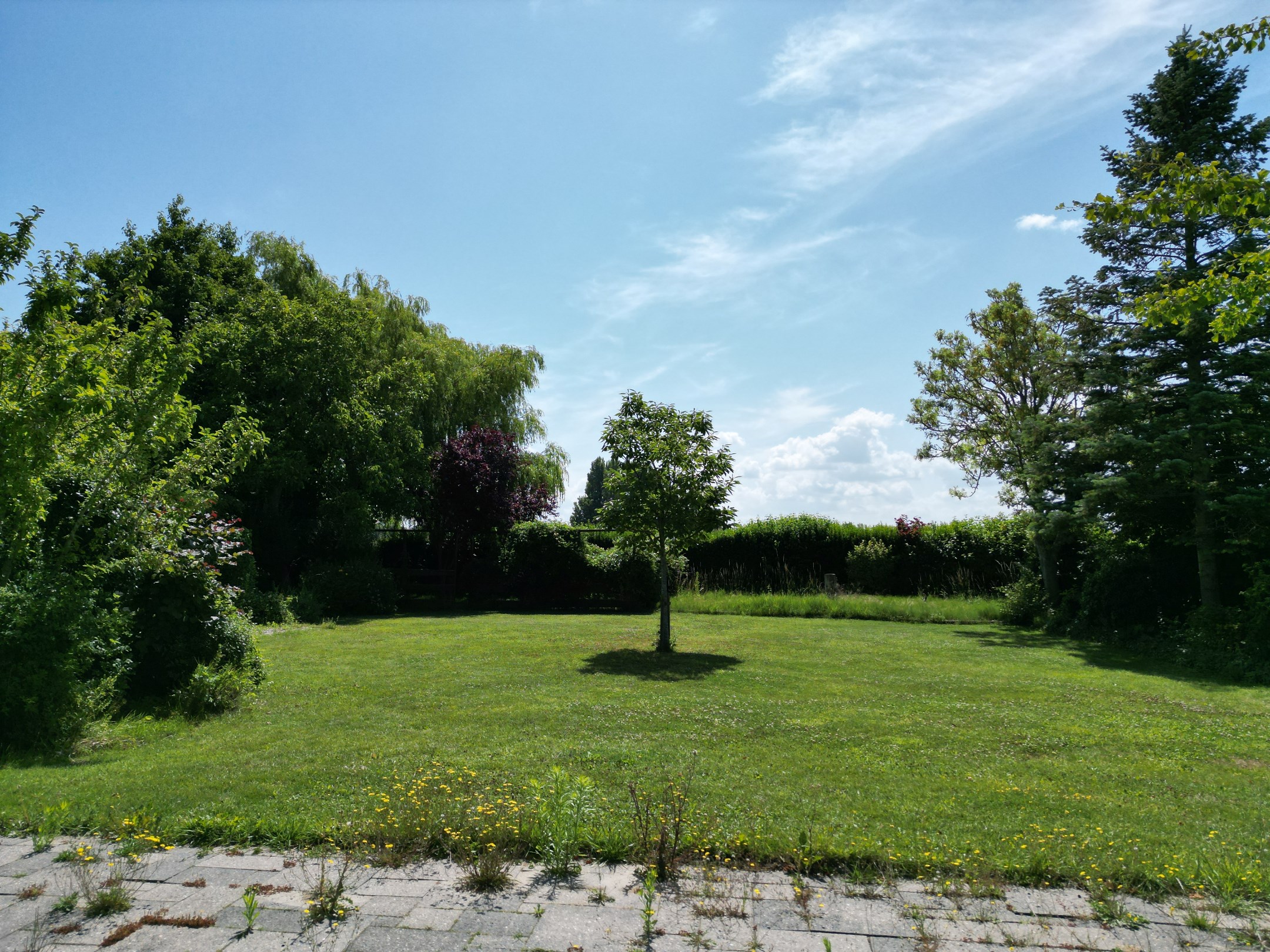 House for sale in Knokke with 5 bedrooms - photo 4