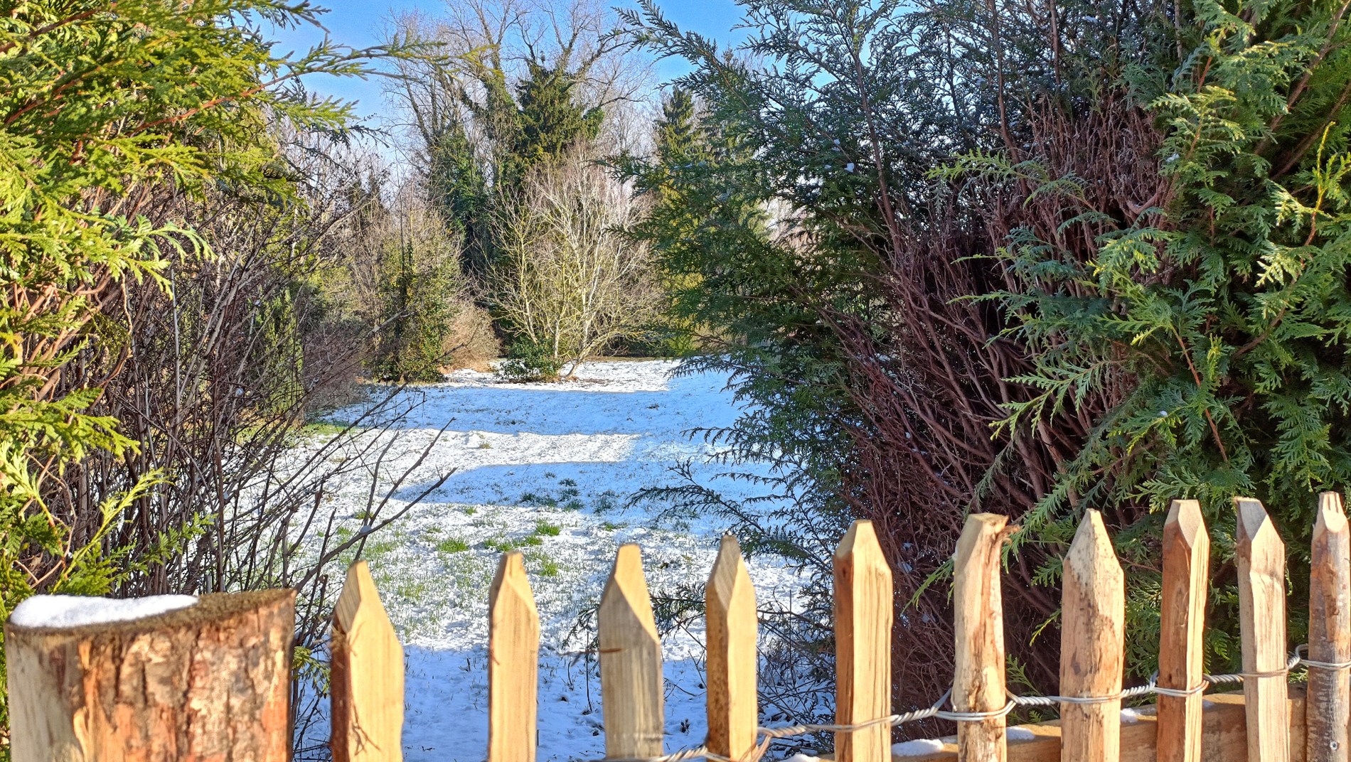 EXCLUSIEVE bouwgrond te Lubbeek 18are 06ca - foto 3