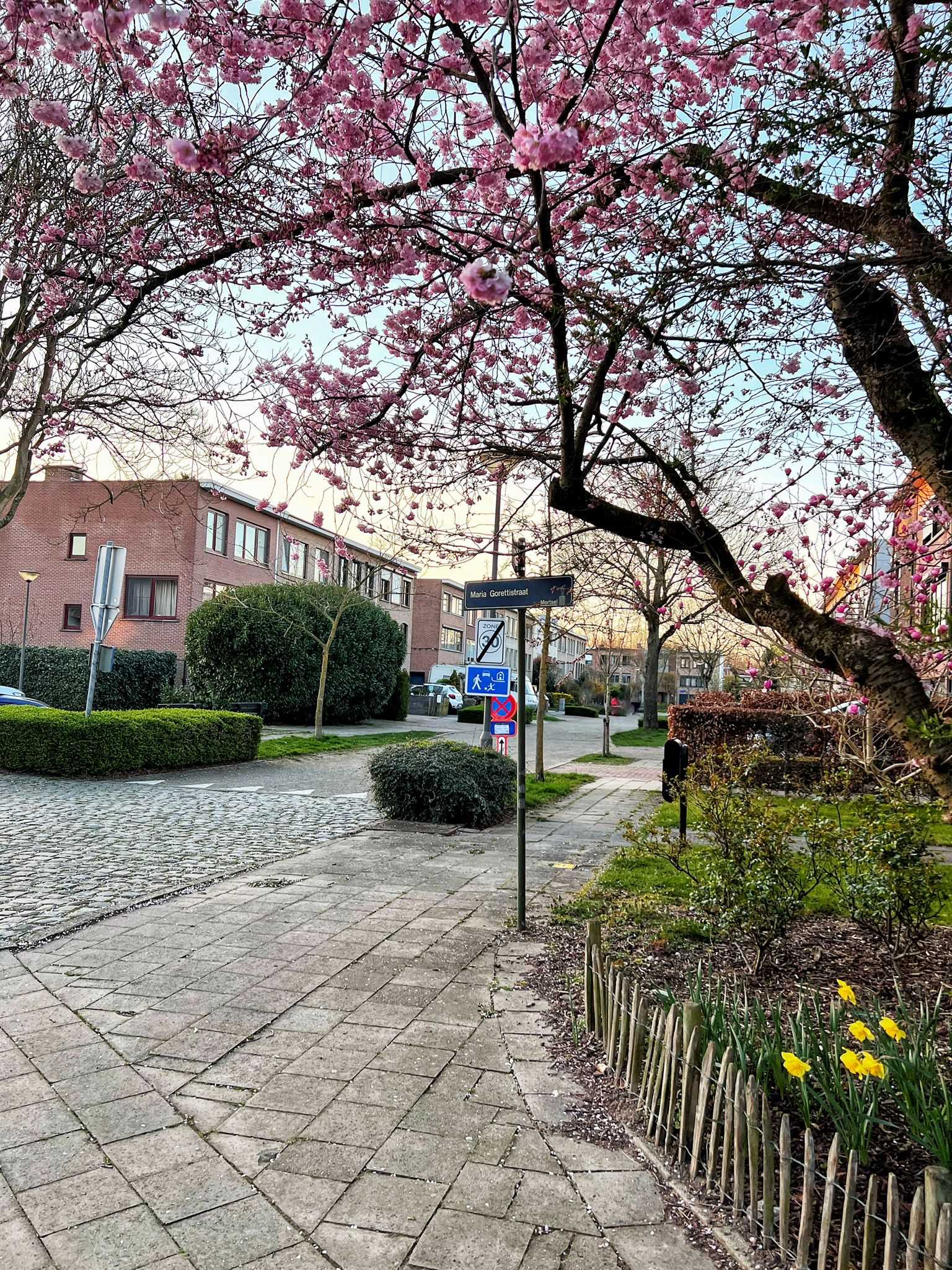Maison à vendre à Mortsel avec 3 chambres - photo 2