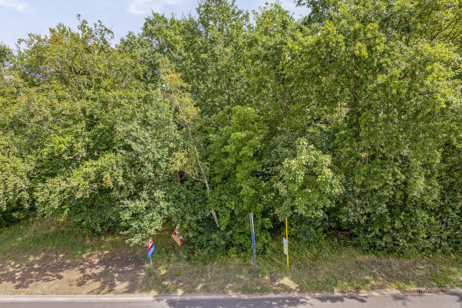 Bouwgrond 12a62ca voor open bebouwing in Tremelo! - foto 5