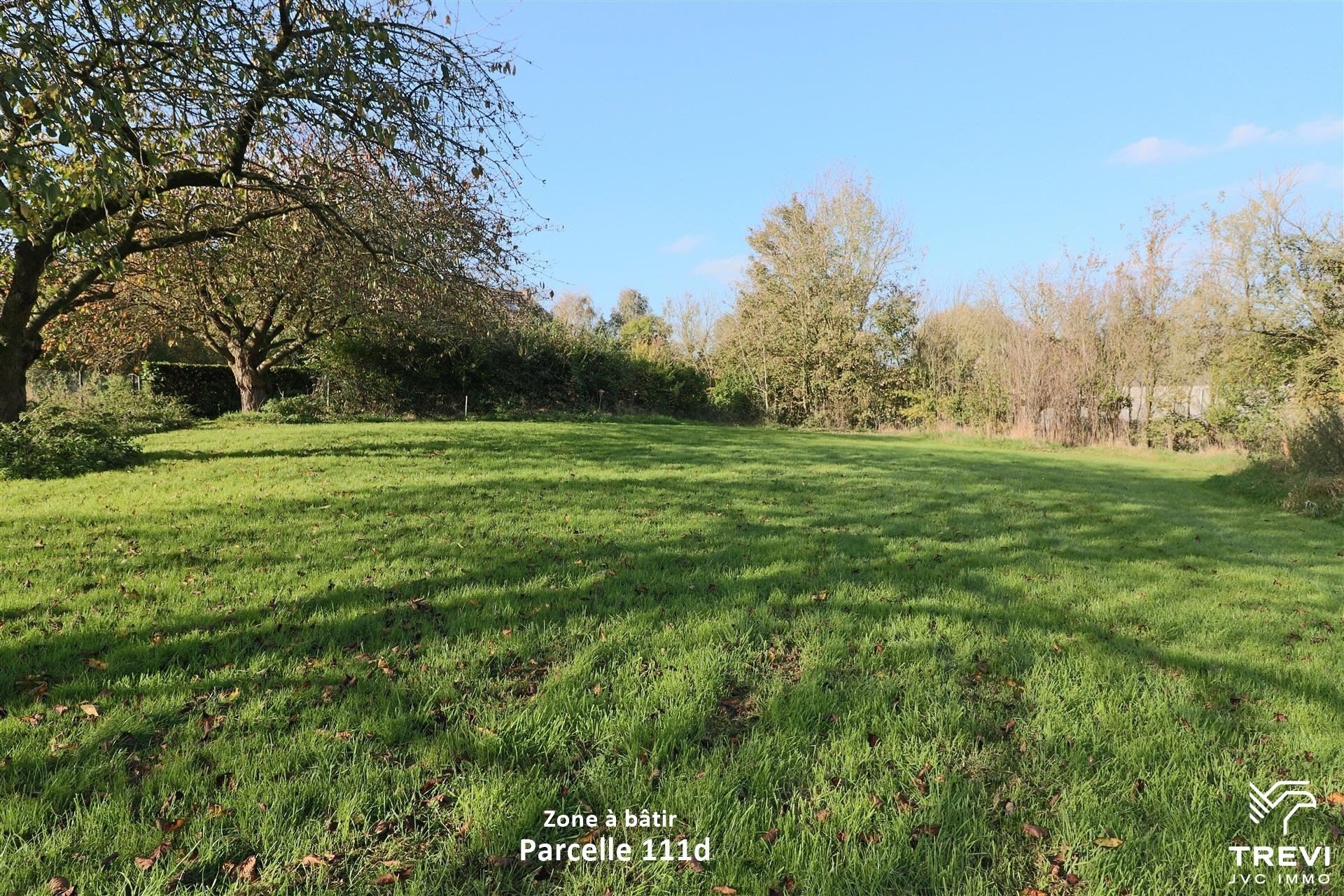 Grond te koop in Orp-Le-Grand - foto 4