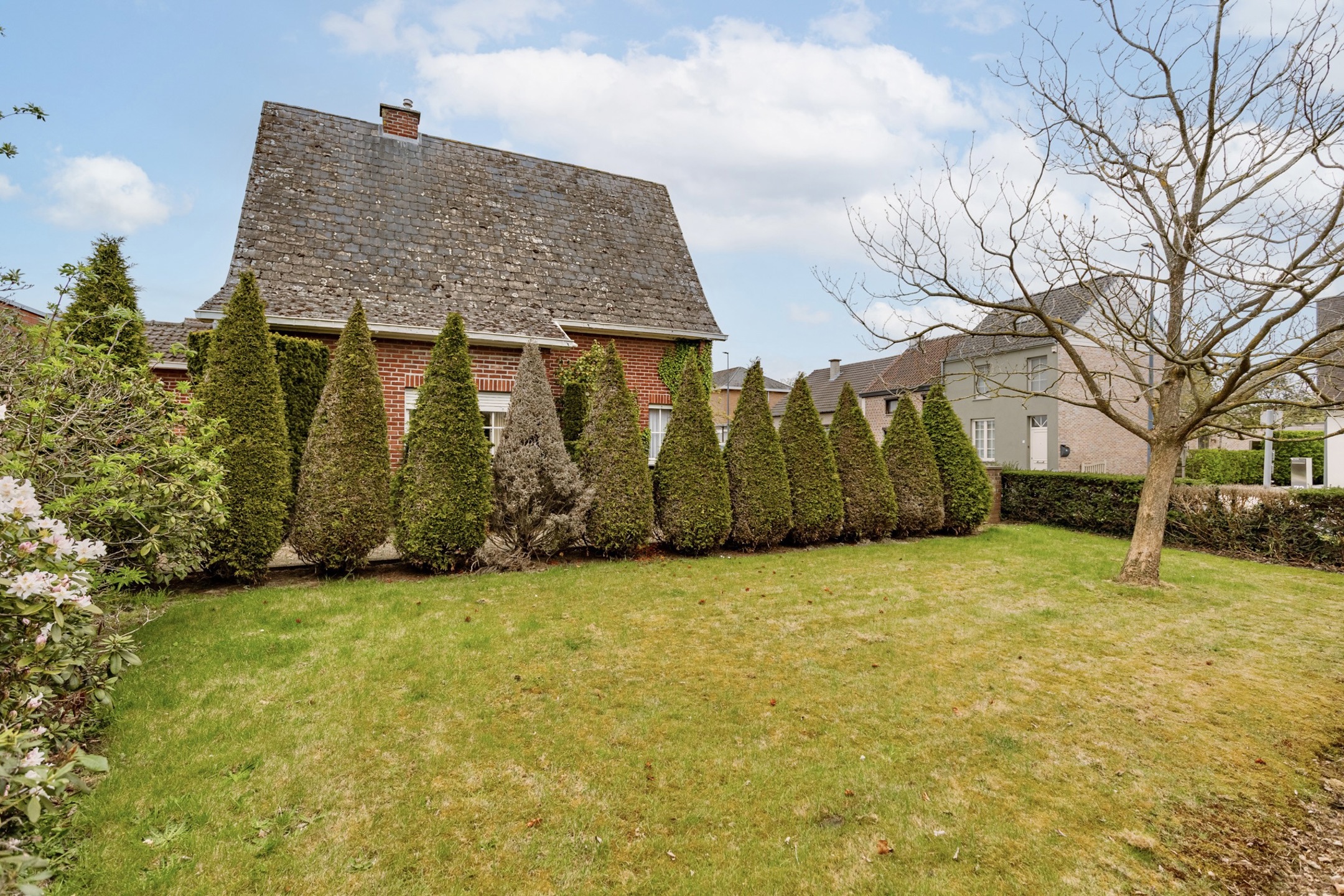 Ruime woning met grote tuin op breed perceel in Wetteren! - foto 2