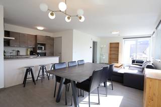 Stijlvol appartement in een opvallend architecturaal gebouw, bemeubeld, bestaande uit inkomhal, toilet met handwasbakje, uitgeruste open keuken...