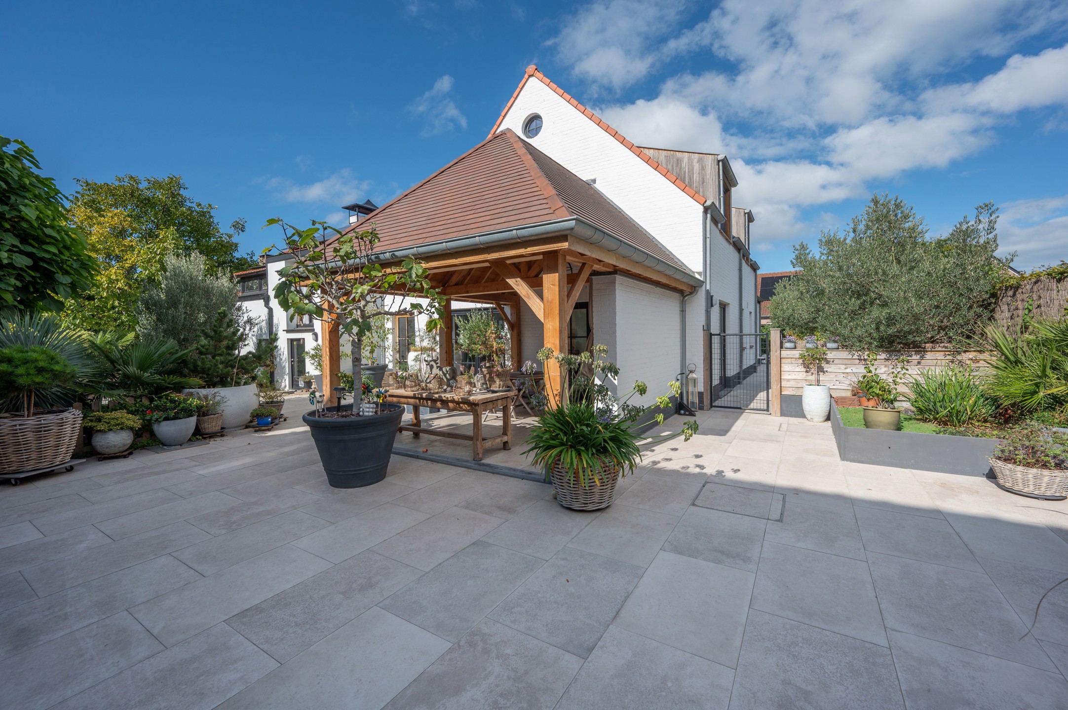 Recente villa (2023) op een ruim perceel van 900 m² met veel privacy - foto 4