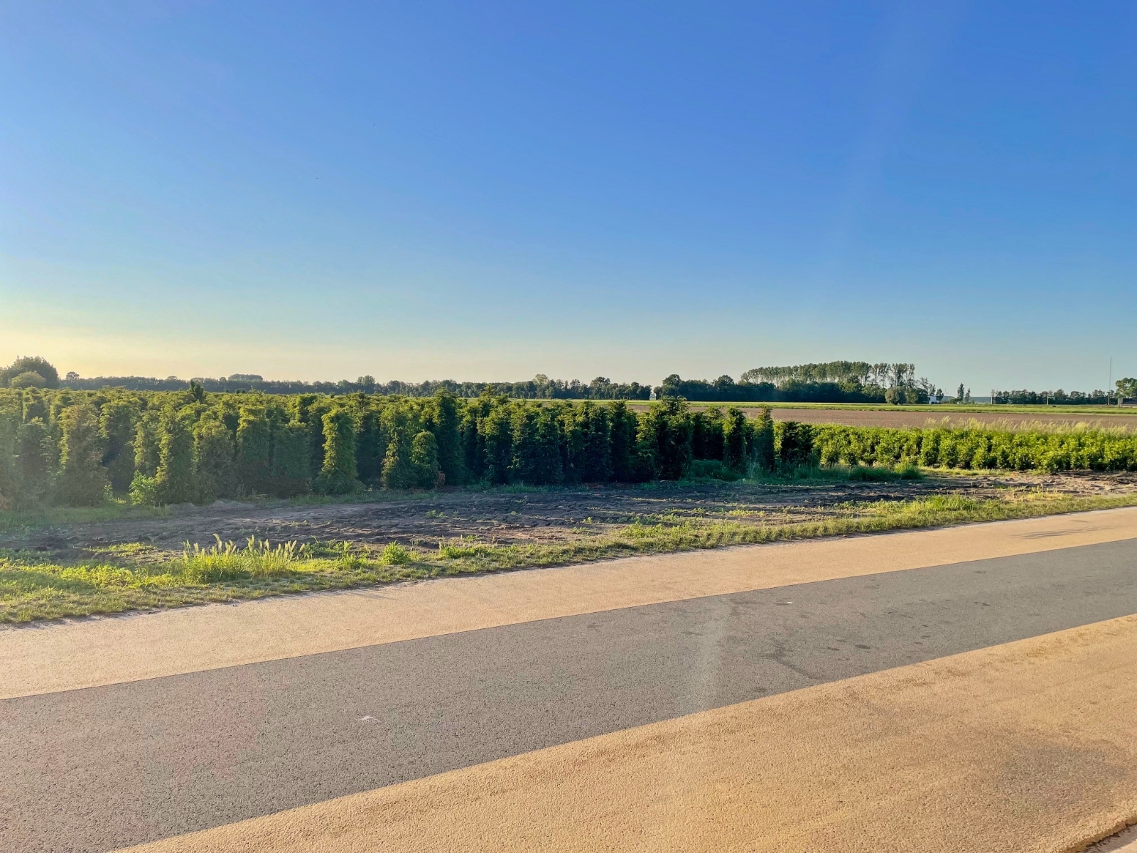 Land for sale in Lochristi - photo 4