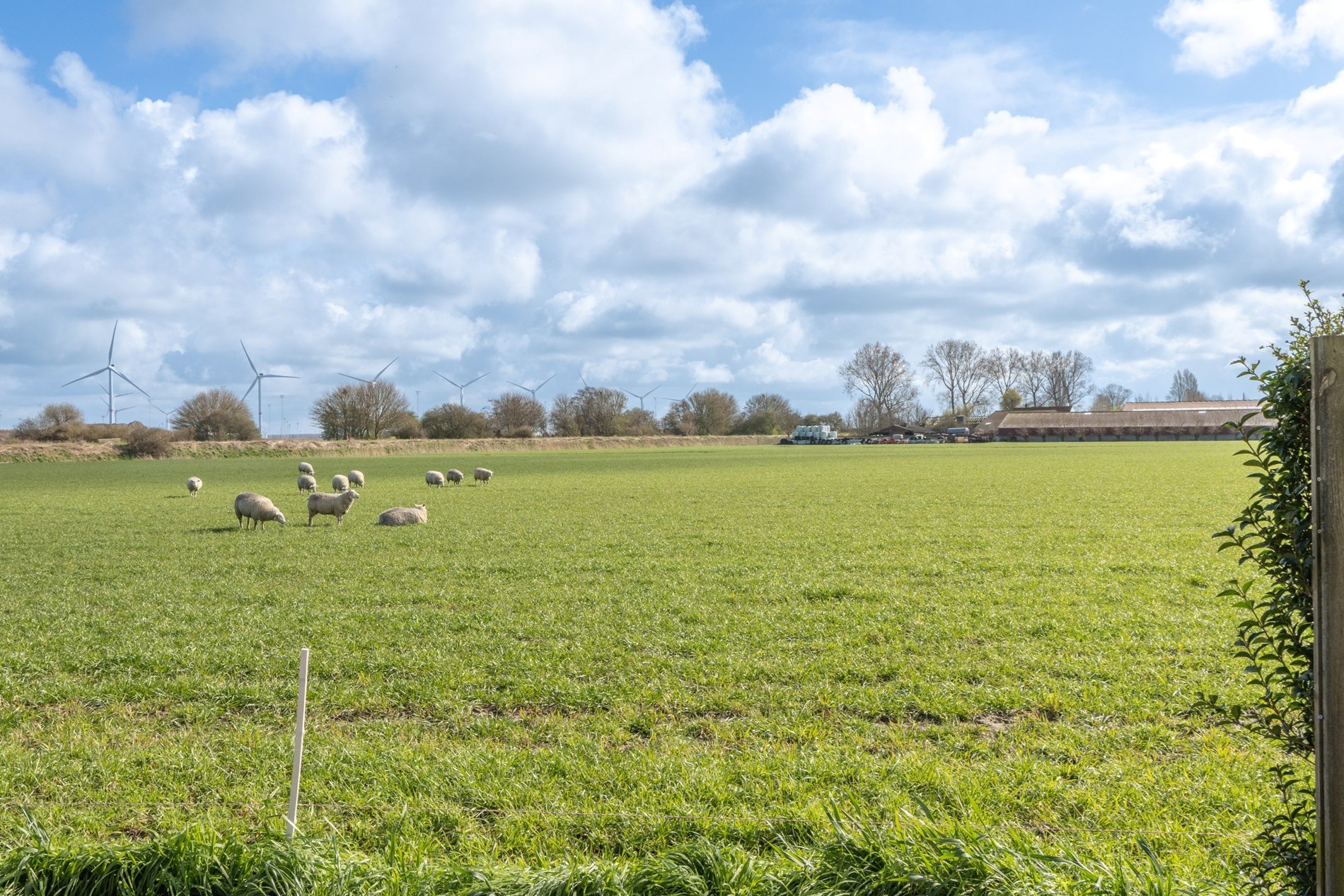 House for sale in Bruges with 4 bedrooms - photo 3