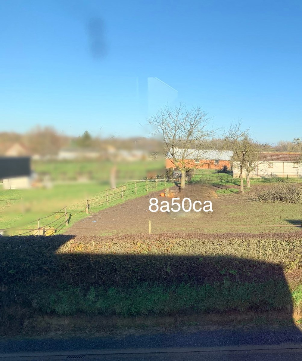 Land for sale in Tongeren - photo 3