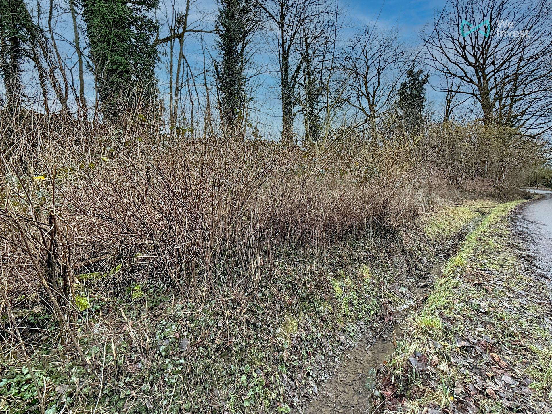 Terrain à beau potentiel, 11,10 ares  - foto 3