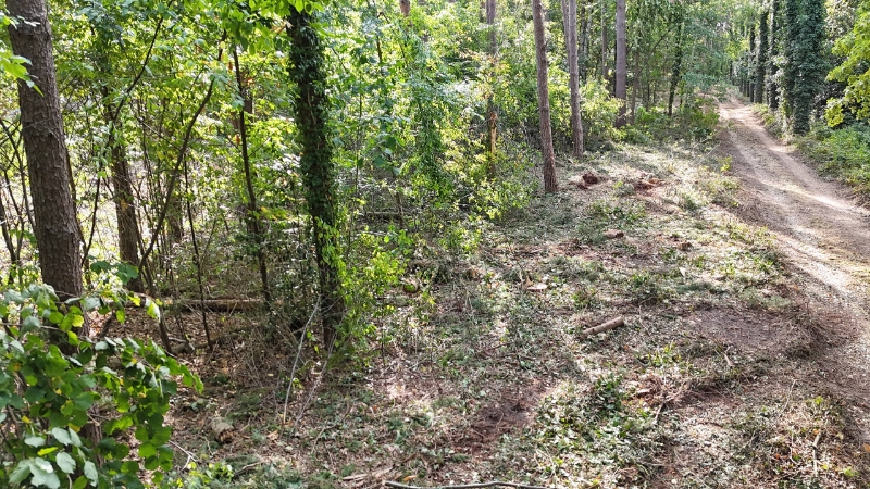 Residentieel gelegen bouwgrond van 15 are voor open bebouwing nabij golf- en meerdomein - foto 5