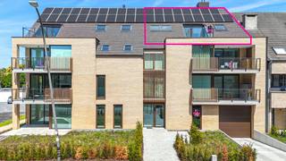 Appartement à louer à Heusden-Zolder
