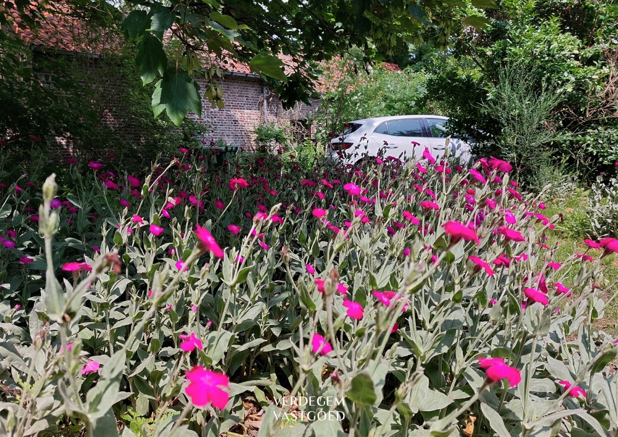 House - photo 4