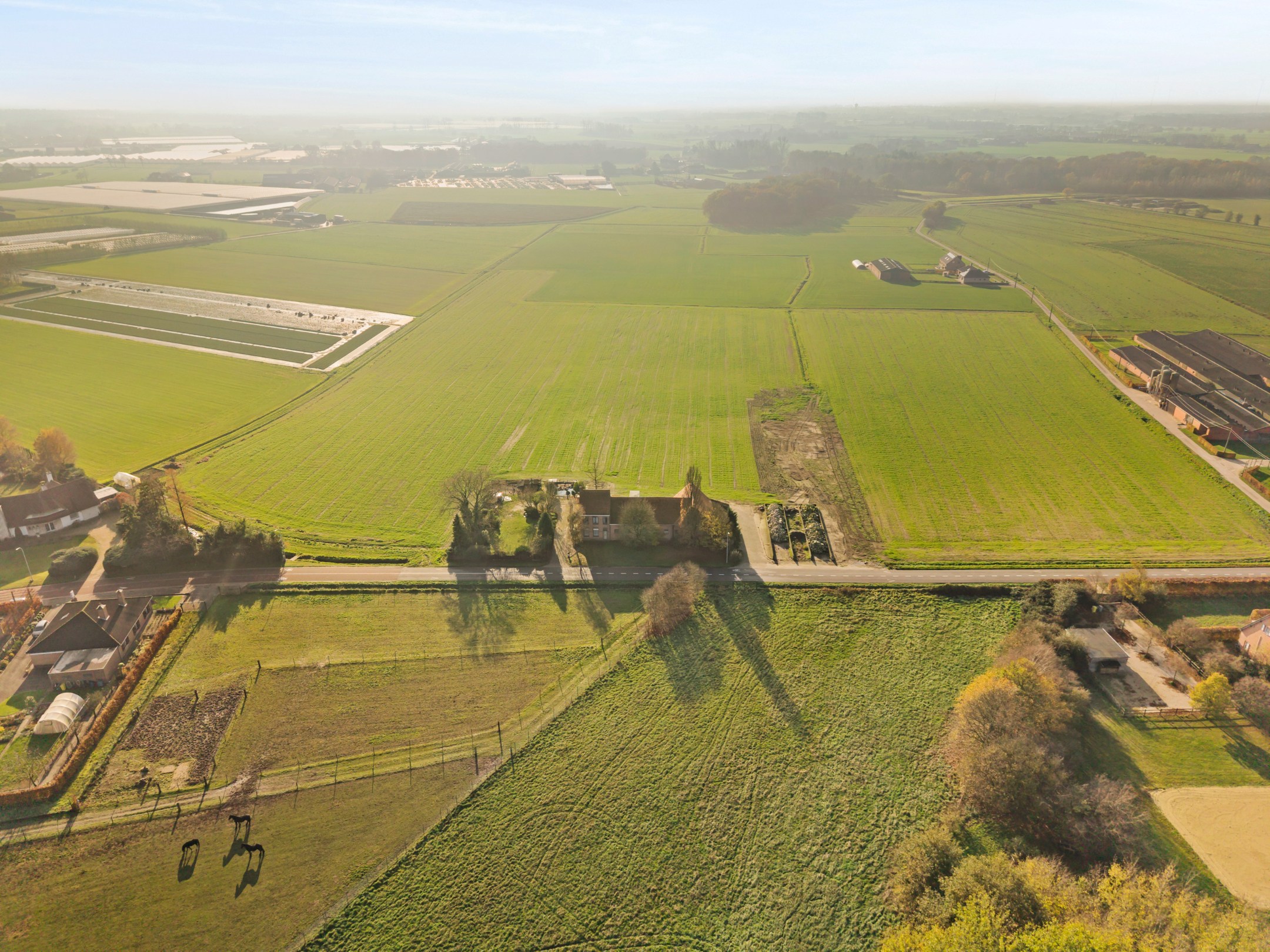 Te renoveren hoeve omgeven door weilanden op ± 9.638 m² te Hoogstraten! - foto 3