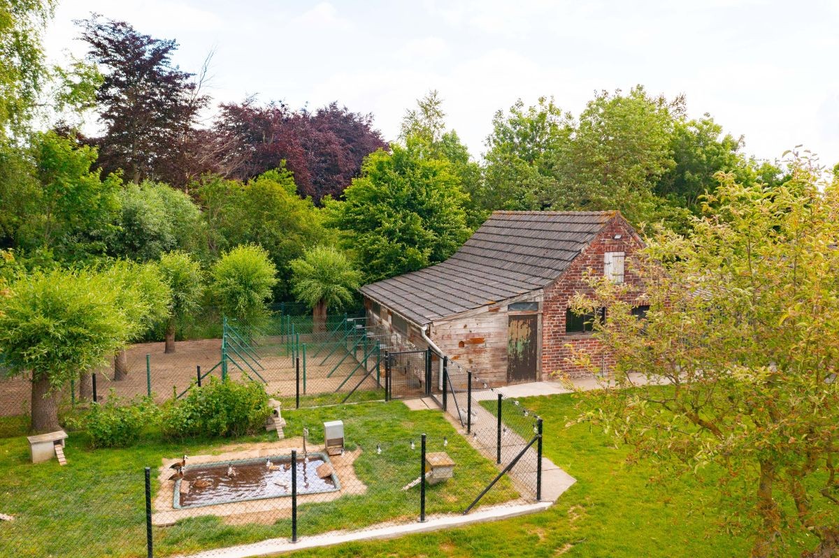 Hoevetje met residentiële woning en stallen te koop op 1 ha te Staden en Hooglede - foto 5