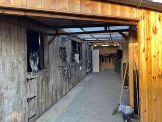 Woning6 stallen1haBuitenpiste met GeopadWoonhuis met 3 slaapkamers, aparte praktijkruimte, verschillende bijgebouwen…Grotendeels gerenoveerd, 20...