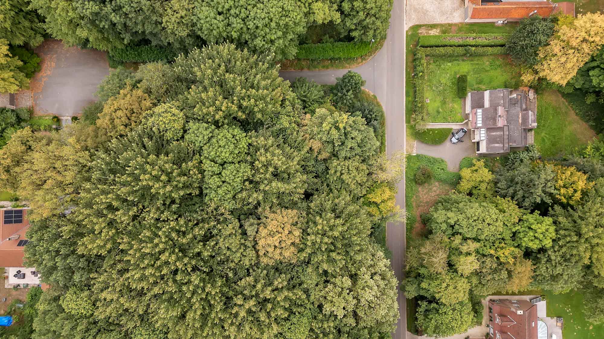 Exclusieve bouwgrond te koop in Lettelingen! - foto 4