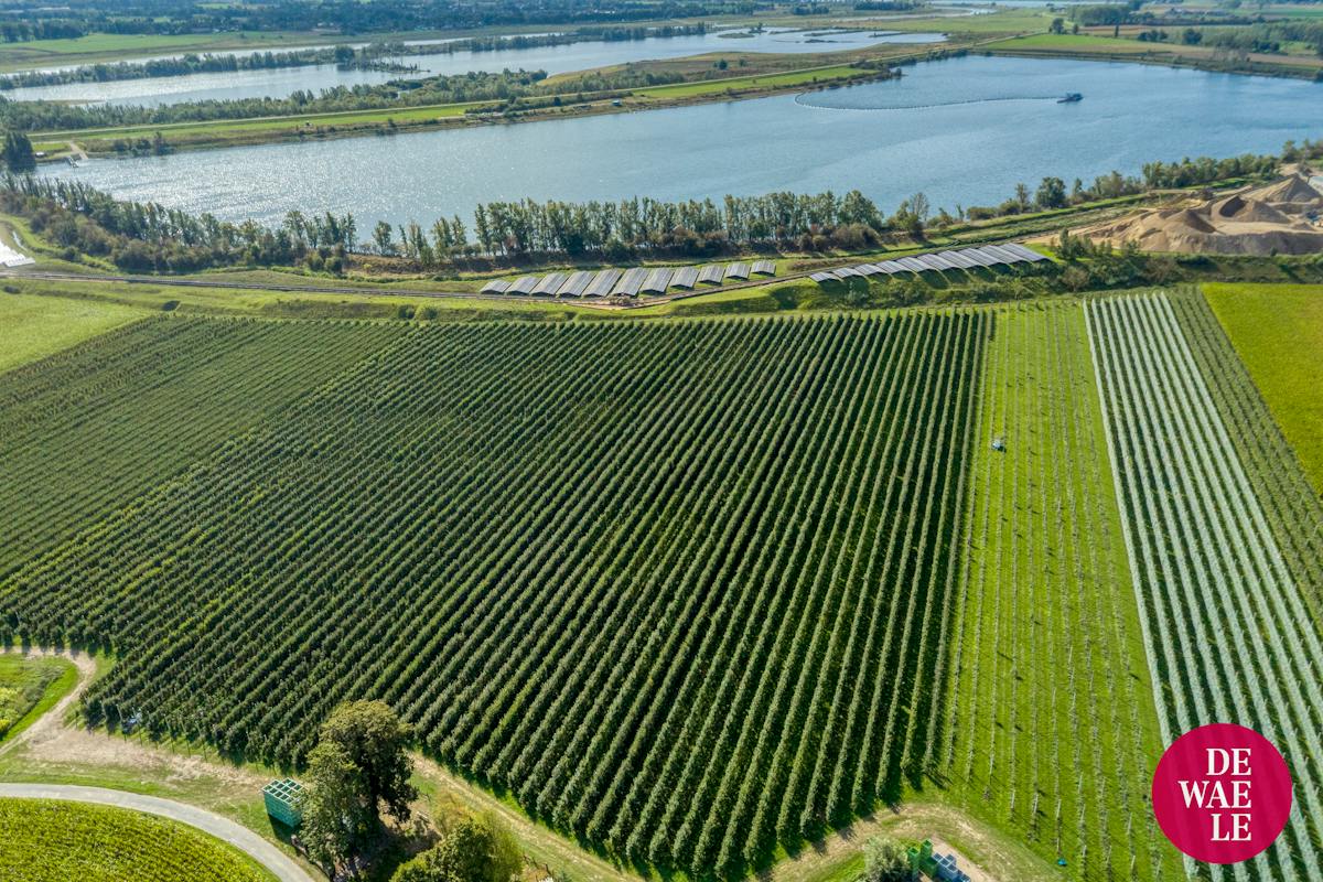 Bouwgrond halfopen bebouwing te koop in Elen 696 m² - foto 4