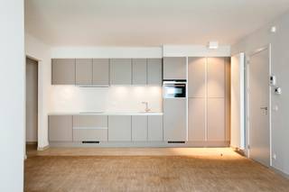 <p>Luxueus en karaktervol appartement op de derde verdieping van een hoogstaande residentie in de Riemstraat. Achter de prachtige authentieke gevel, die met zorg in haar oorspronkelijke glorie werd hersteld, bevindt zich een stijlvol appartement waar historisch karakter en hedendaags wooncomfort samenkomen. Tal van winkels, gezellige restaurants en cafés liggen op wandelafstand.<br /><br />Het appartement werd doorlopend afgewerkt met hoogwaardige materialen. De mooie parketvloer, stijlvolle natuursteen in keuken en badkamer en grote raampartijen zorgen voor een warme, elegante uitstraling en een aangename natuurlijke lichtinval.<br /><br />De lichtrijke leefruimte sluit naadloos aan op de strakke open keuken, volledig uitgerust met oven, kookvuur, koelkast, diepvriezer en vaatwasser.<br /><br />Verder beschikt het appartement over een ruime slaapkamer, een moderne badkamer met inloopdouche en lavabo en een apart toilet.<br /><br />Een private kelderberging is reeds inbegrepen in de huurprijs.<br /><br />Een bijzonder stijlvol appartement voor wie comfortabel wil wonen in een karaktervolle residentie op een gegeerde locatie in Antwerpen.<br /><br />Maandelijkse kosten: 85 Euro.<br />Alle nutsvoorzieningen (gas, water en elektriciteit) zijn privé op te nemen door de huurder.<br /><br />Beschikbaar vanaf 1 november 2026.</p>