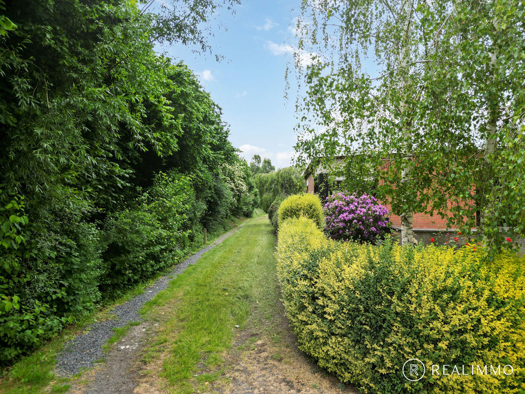 Bouwgrond in centrum Avelgem! - foto 4