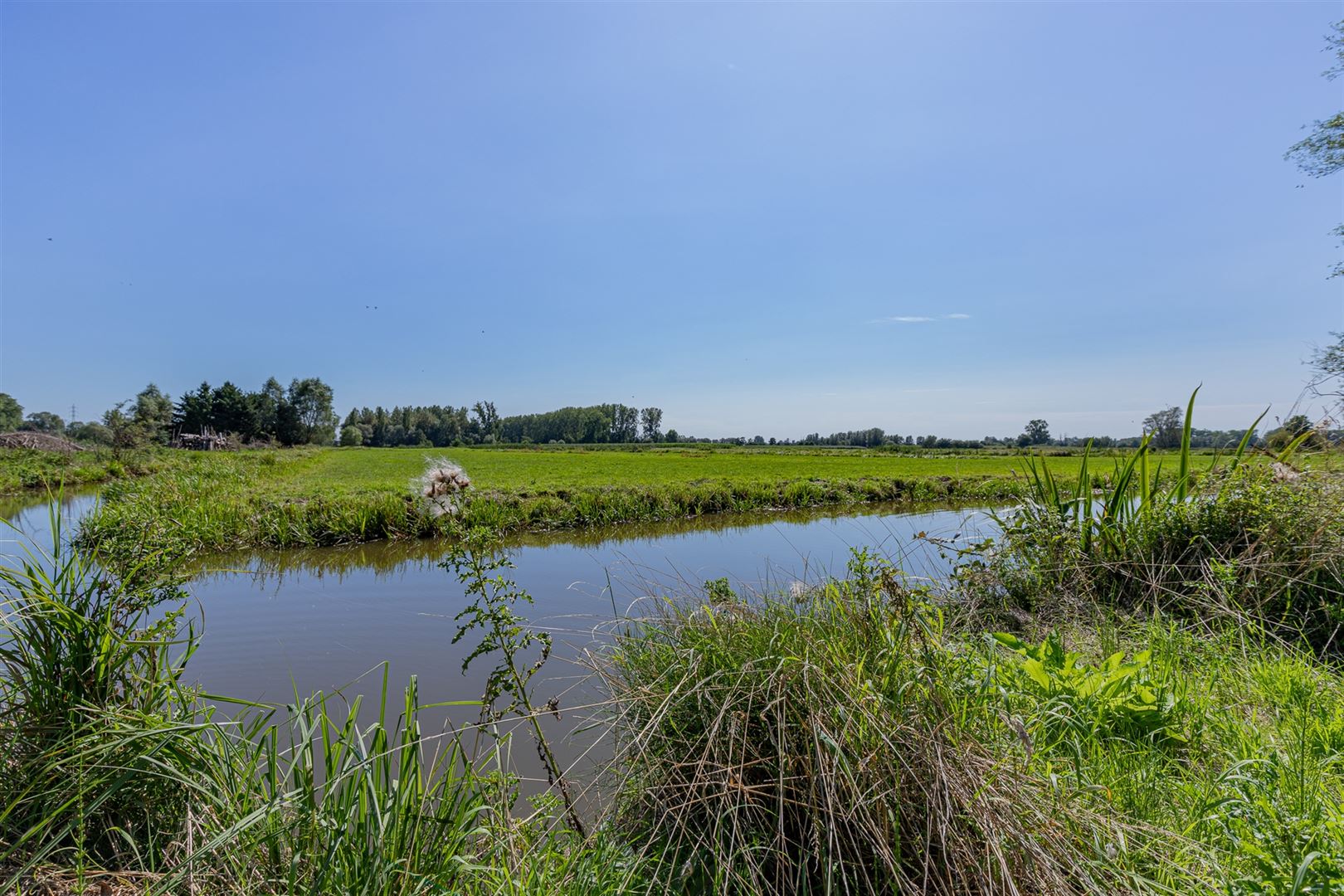 Land for sale in Dendermonde - photo 2
