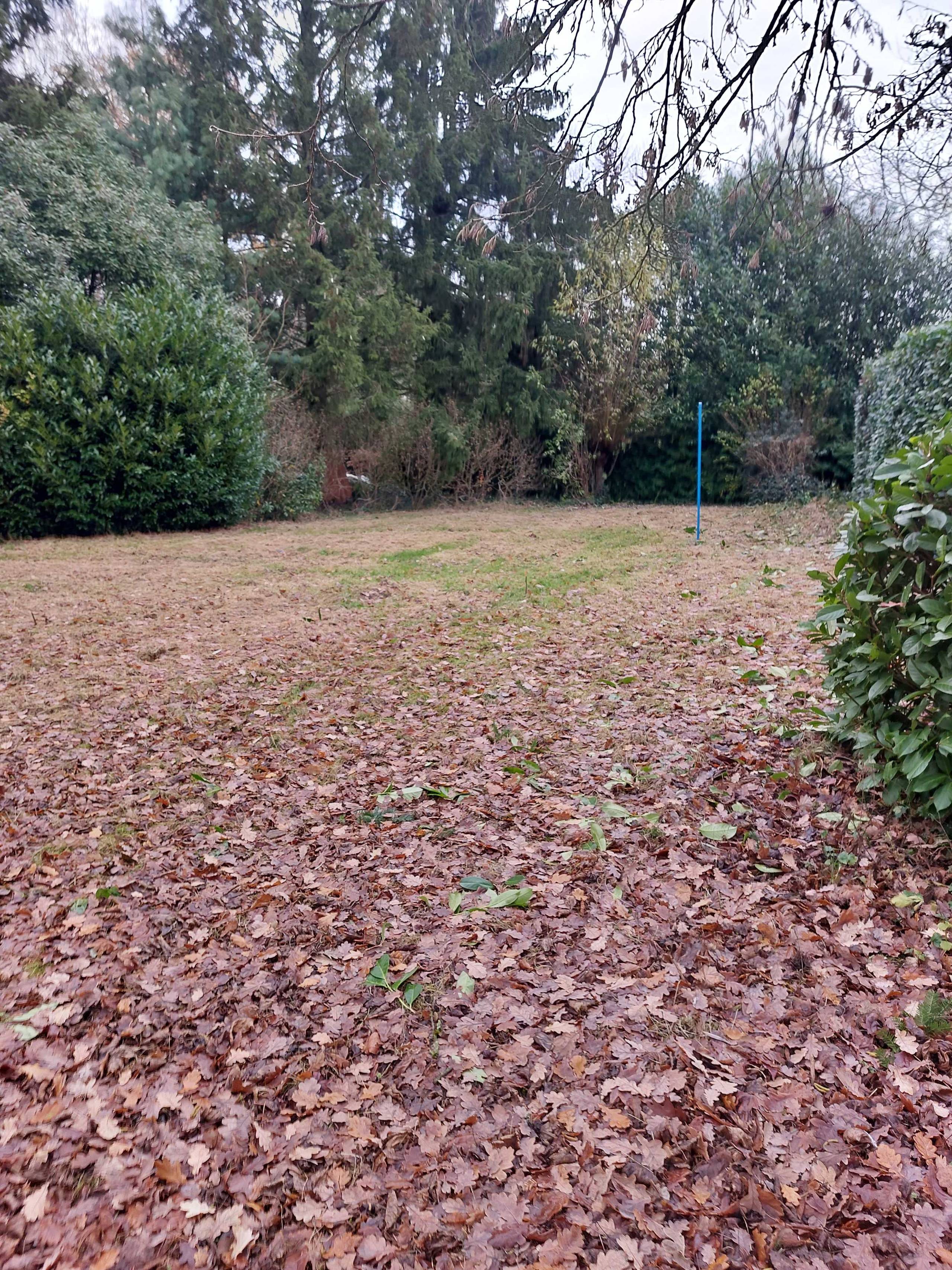 Grond te koop in Kessel-Lo - foto 3