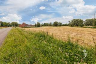 <p><span>Droomt u van wonen in alle rust, omringd door natuur, ruimte en prachtige vergezichten? Dan biedt deze authentieke hoeve in Rijmenam een unieke opportuniteit.</span></p><p><span>Gelegen op een schitterend zuidgericht perceel van maar liefst 68 are, geniet deze eigendom van een unieke ligging met een panoramisch uitzicht over de omliggende weilanden en de Dijle. Een zeldzame combinatie van privacy en ruimte die nog maar zelden op de markt komt.</span></p><p><span>De hoeve beschikt over een authentieke indeling met tal van mogelijkheden voor renovatie. Via de inkom komt u terecht in de leefruimte, die toegang biedt tot twee slaapkamers. Achteraan bevinden zich de keuken en de badkamer. Aan de linkerzijde van de woning bevinden zich de voormalige stallen, die mee deel uitmaken van het karakter van deze eigendom.</span></p><p><span>Een absolute troef is de ruime verdieping onder het dak. Dankzij de aanwezige betonnen vloer biedt deze zolderverdieping een uitstekende basis voor het creëren van extra woonruimte, slaapkamers, een hobbyruimte of een volledig nieuwe invulling naar eigen wens. De mogelijkheden zijn hier bijzonder uitgebreid.</span></p><p><span>Ook de bijgebouwen bieden heel wat potentieel. Deze voormalige stallen kunnen afhankelijk van de plannen van de toekomstige eigenaar, verder worden ingericht of herbestemd.</span></p><p><span>In 2007 werd bovendien de dakstructuur vernieuwd/verstevigd en werden er nieuwe dakpannen geplaatst.</span></p><h3><span>Troeven op een rij:</span></h3><ul><li><span>Authentieke hoeve met veel karakter </span></li><li><span>Zuidgericht perceel van 68a </span></li><li><span>Unieke ligging met uitzicht over weilanden en de Dijle </span></li><li><span>Grote zolderruimte met betonnen vloer </span></li><li><span>Dakstructuur vernieuwd/verstevigd en voorzien van nieuwe dakpannen </span></li><li><span>Verschillende bijgebouwen en voormalige stallen </span></li><li><span>Rustige en groene omgeving met uitstekende bereikbaarheid </span></li></ul><p><span>Deze eigendom is een unieke kans voor wie op zoek is naar een renovatieproject op een uitzonderlijke locatie, waar ruimte, natuur en potentieel samenkomen.</span></p><p><span>Vanafprijs: 365.000 euro. </span></p><p><span>Interesse? </span><span>Neem contact met ons op voor meer informatie of een plaatsbezoek via 016 15 31 15 of info@immolivit.be.</span><span> </span></p><p><span> </span></p><p><span> </span></p><p><span> </span></p>