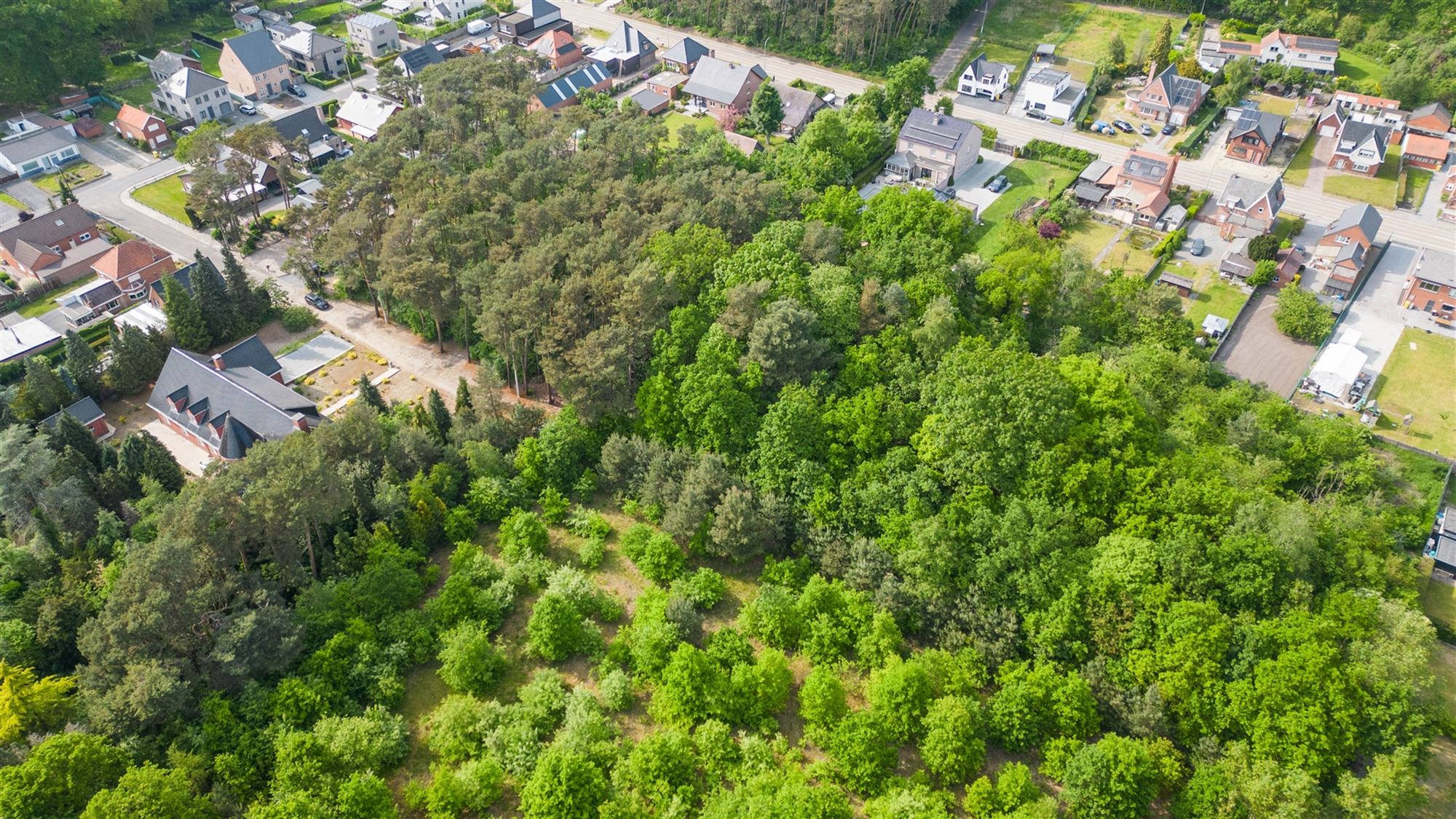 Bouwland (boszone) - foto 5