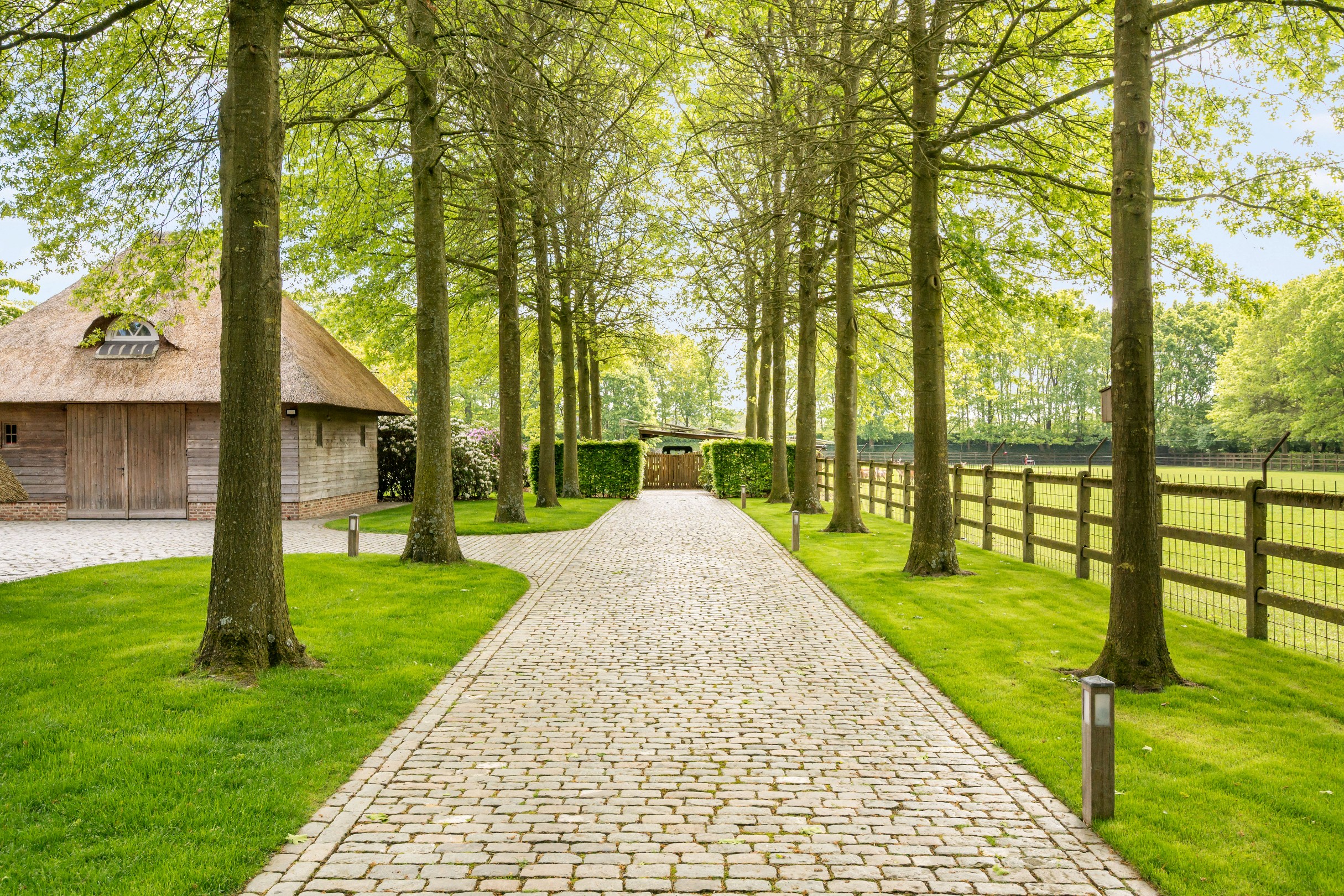 Prachtige hoeve op domein van 2,3 HA te Pelt - foto 5