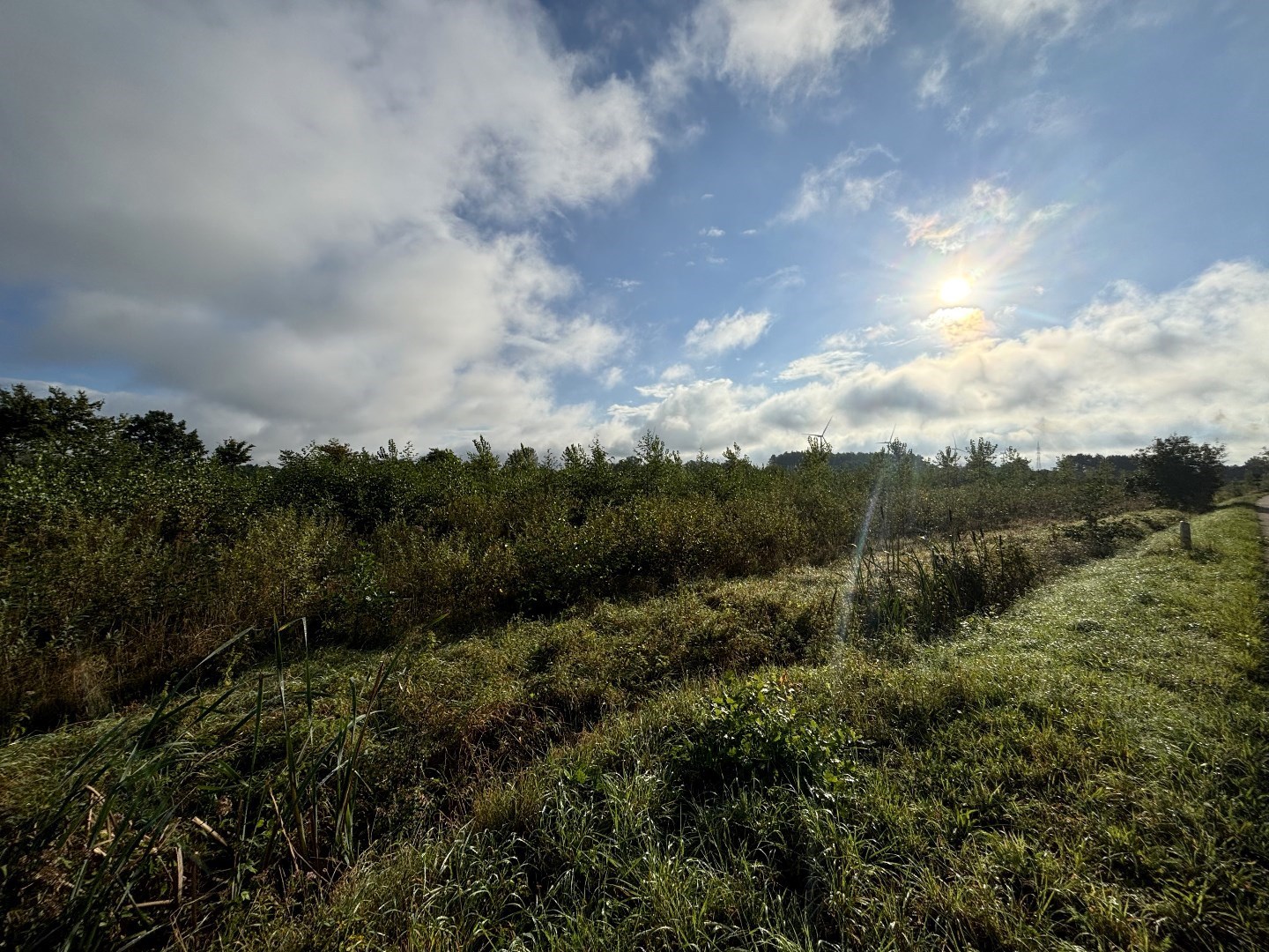 Terrain à vendre à Balen - photo 4