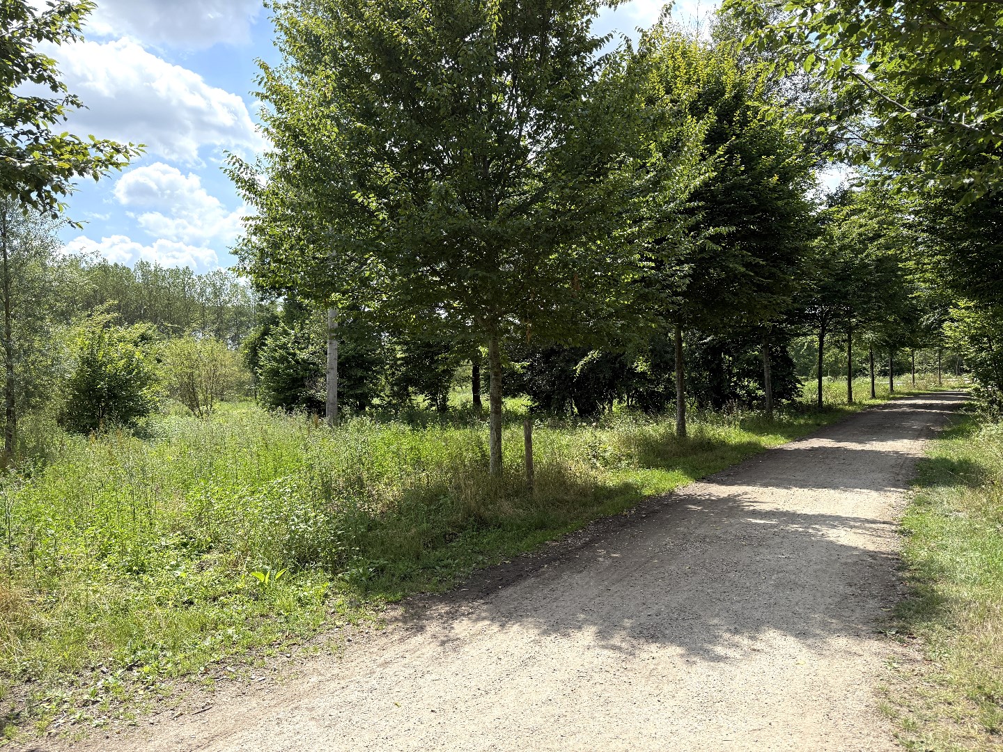 Perceel bos/weiland 5ha in natuurgebied De Kevie te Tongeren - foto 4