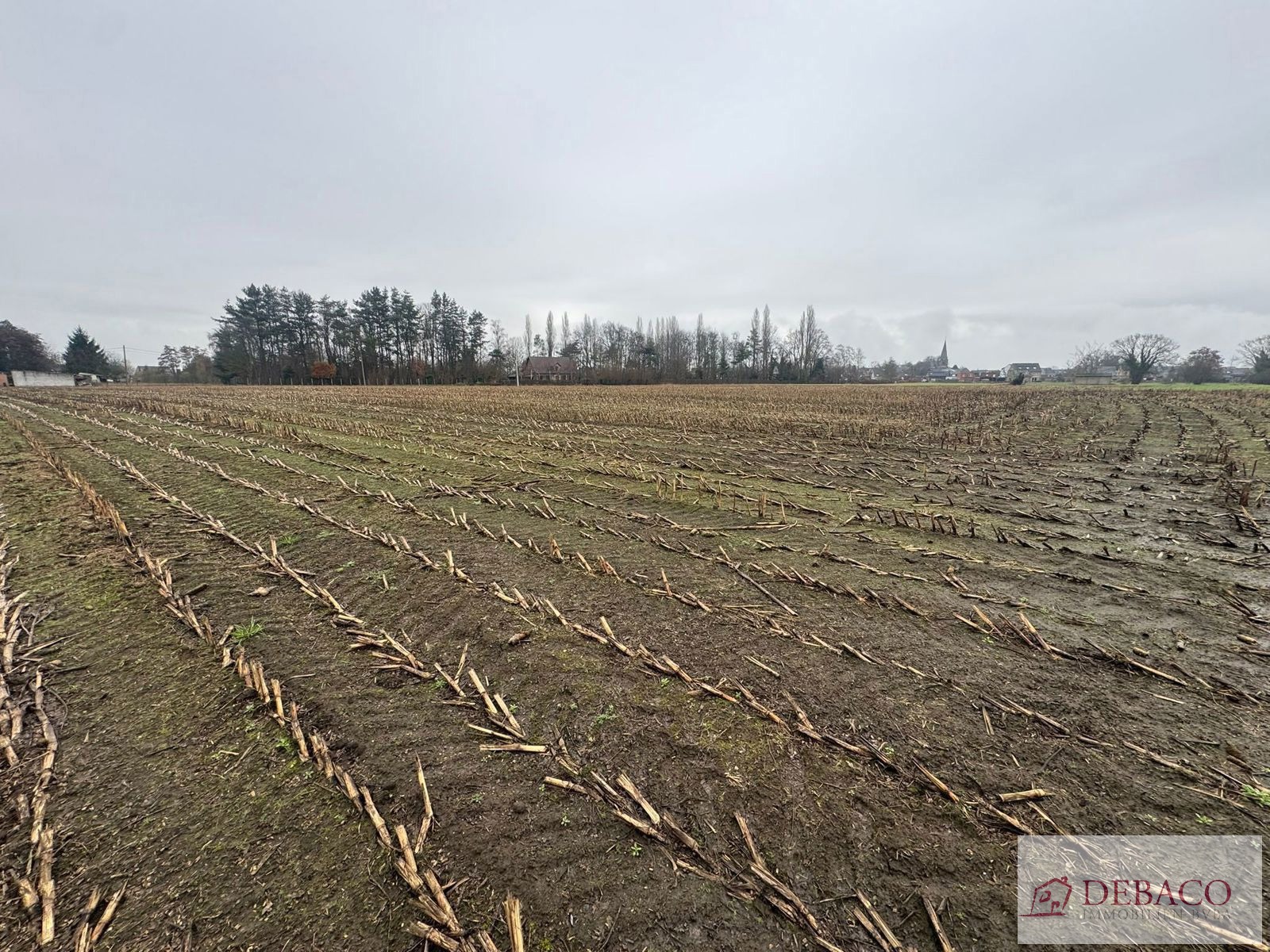 Terrain à vendre à Berlaar - photo 4