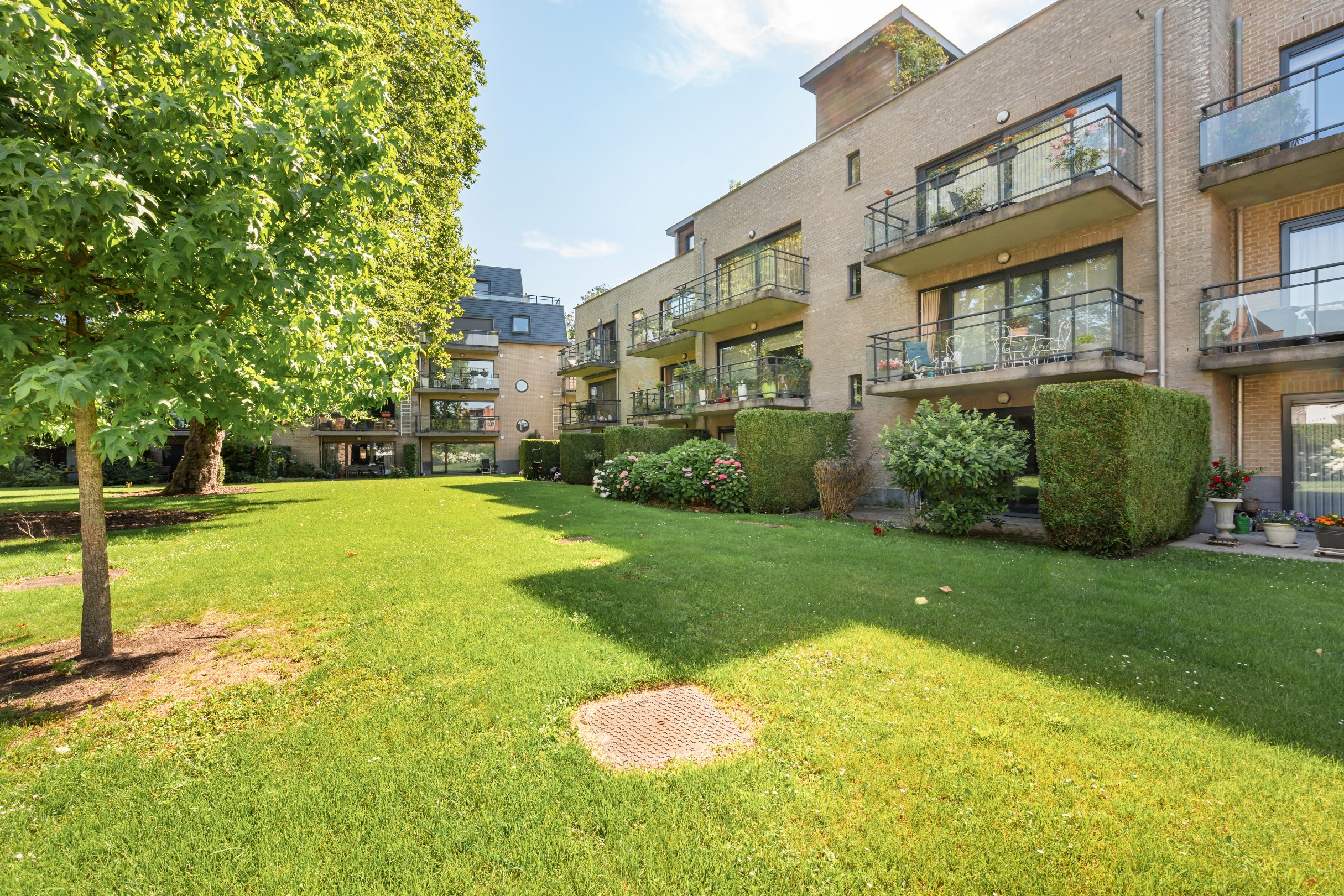 Appartement lumineux dans un écrin de verdure au cœur du centre-ville - photo 5