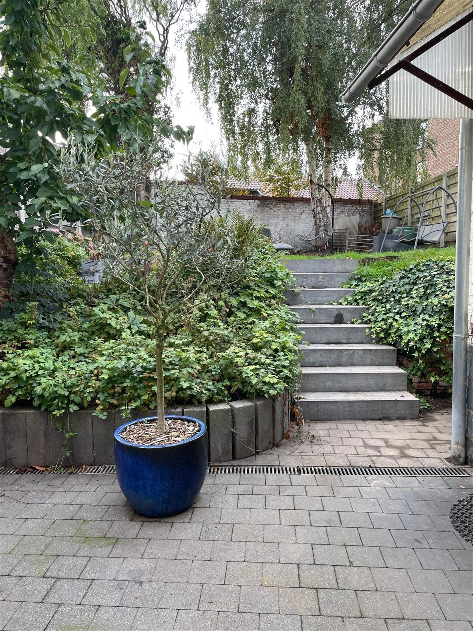 Maison à vendre à Walshoutem avec 3 chambres - photo 3