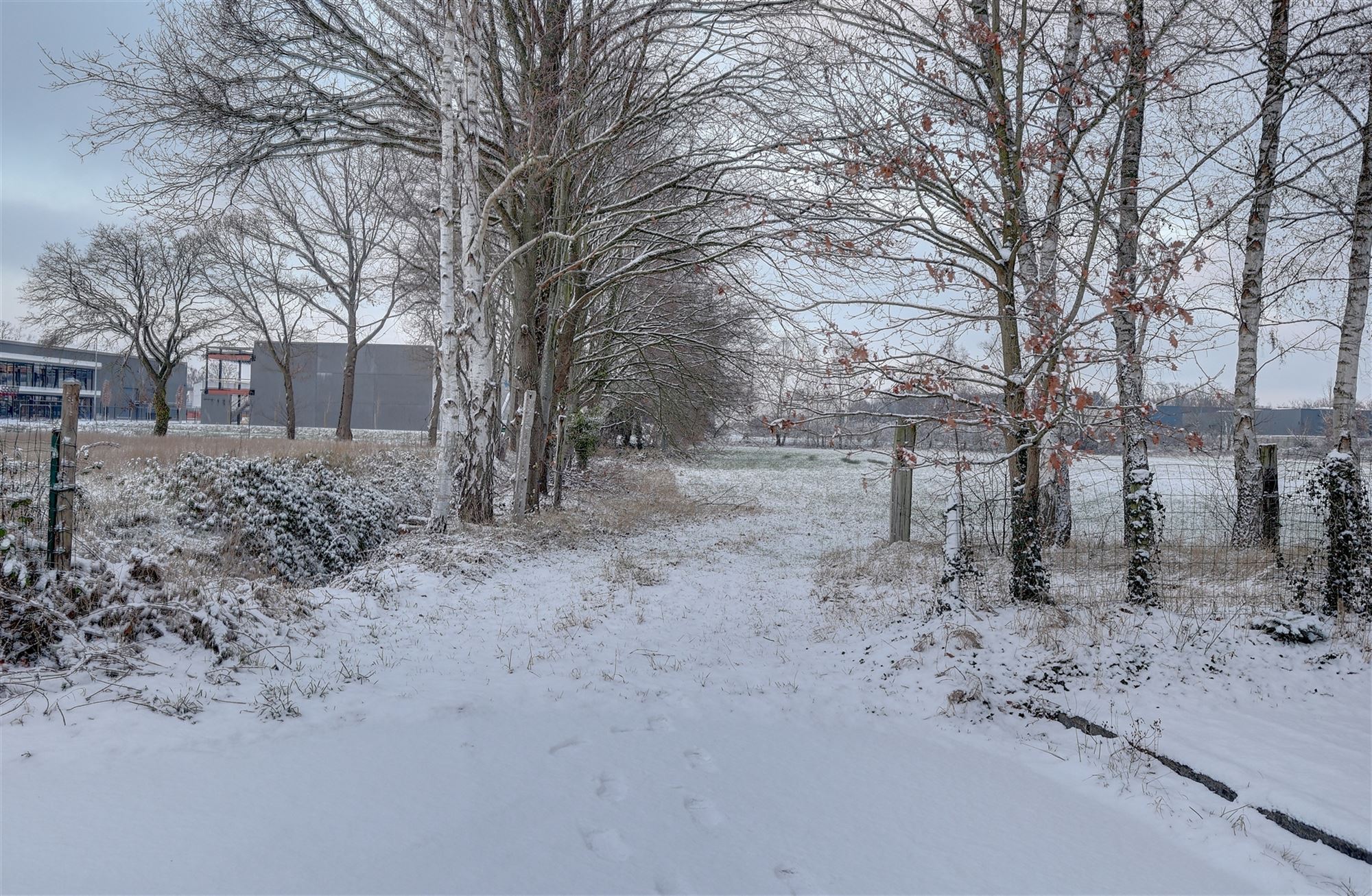 Idyllische paardenweide / bosgrond in Bonheiden - foto 4