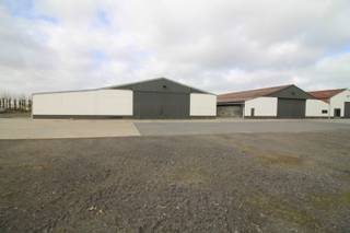 Opslagruimte gelegen in Handzame met vlotte bereikbaarheid naar Roeselare - Diksmuide.Oppervlakte: 900m2*Geïsoleerd dak*grote poort (hoogte...