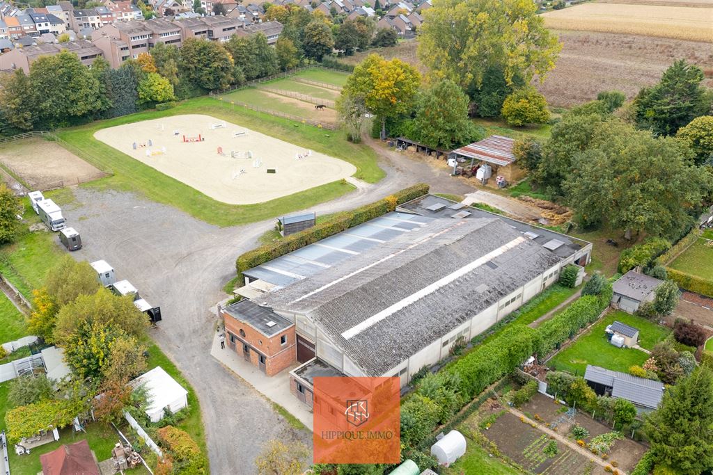 Hippisch complex met 38 stallen op ca. 1,9ha te Grimbergen - foto 1