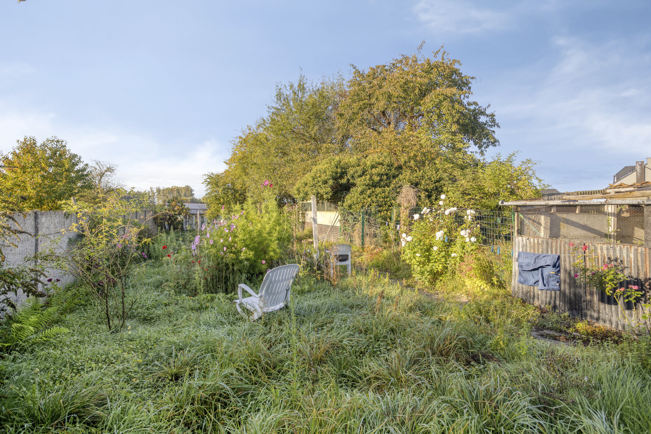 Woning te koop in Zoutleeuw met tuin - foto 5