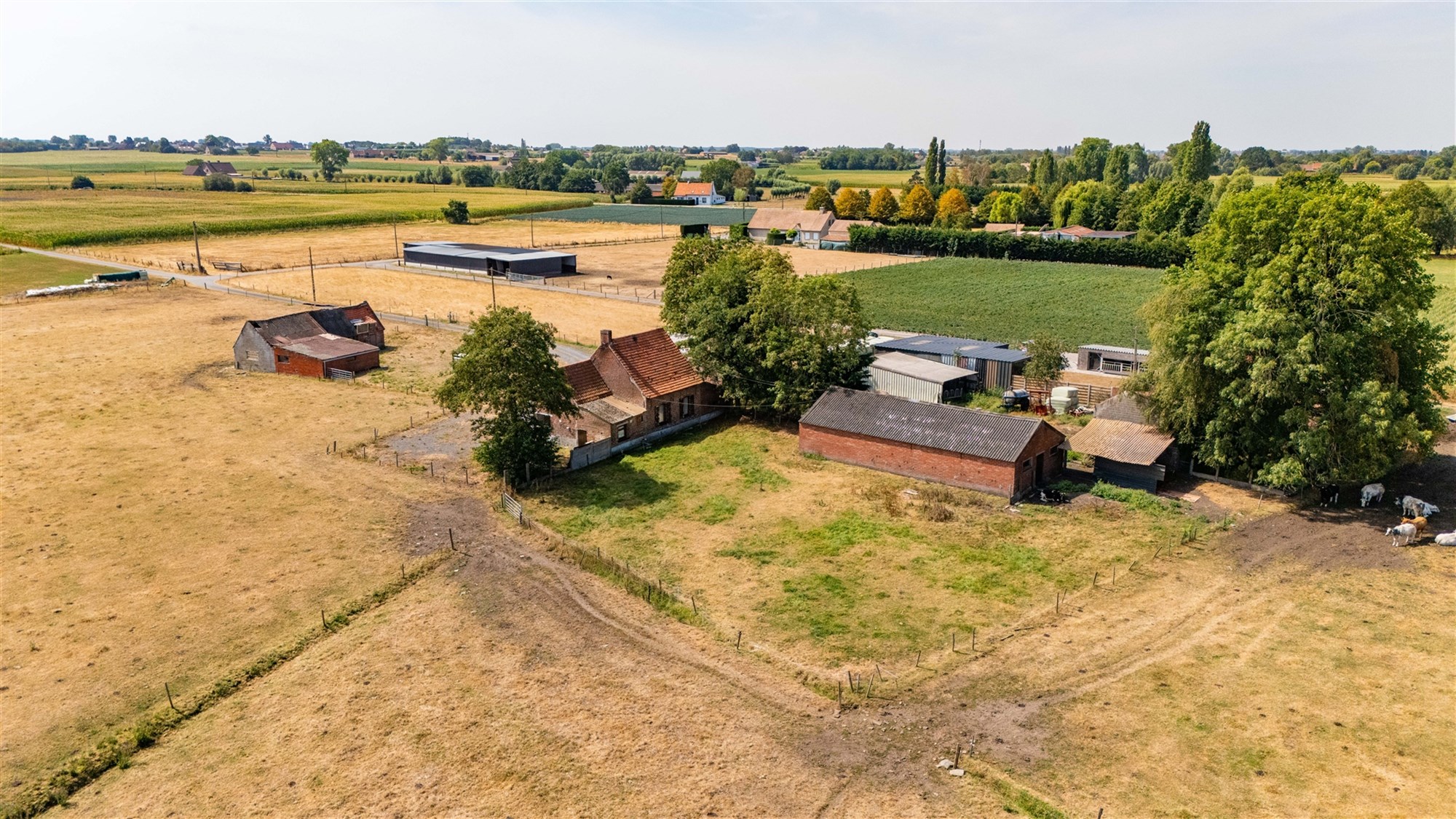 Hoeve op 2991 m² - foto 5