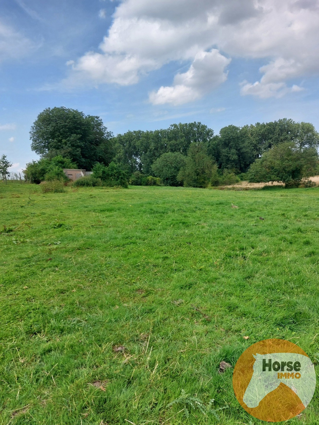 TONGEREN - Weide op +/- 1,5 ha - foto 5