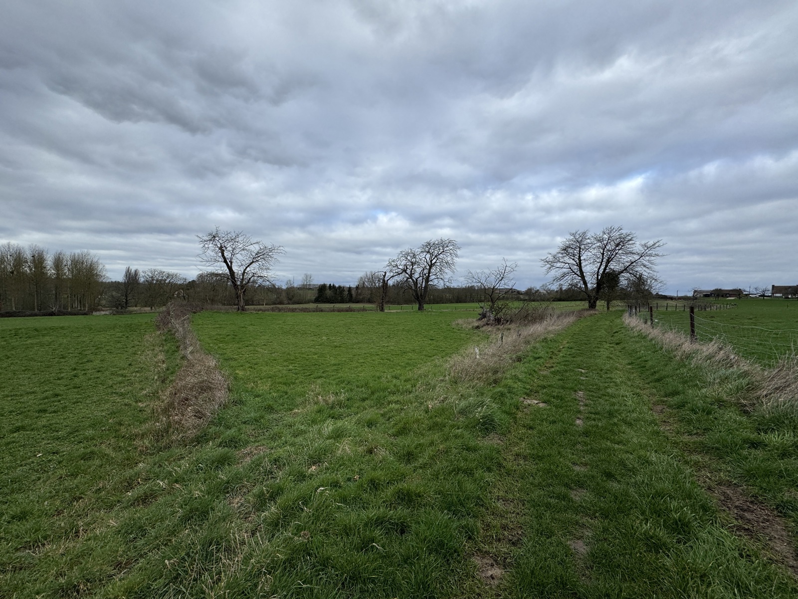 Perceel landbouwgrond van 62a 32ca - foto 4