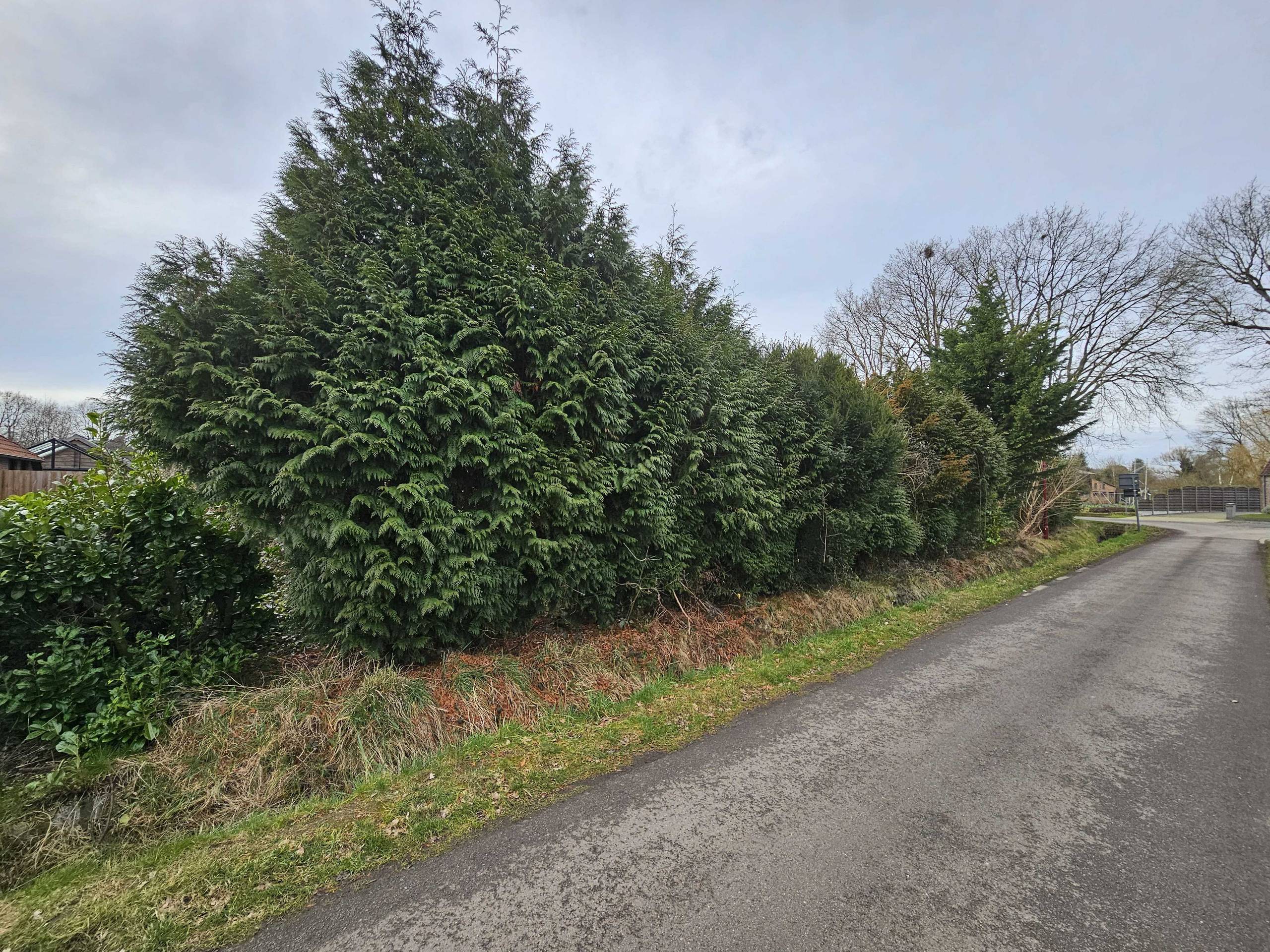 Grond te koop in Olen - foto 5