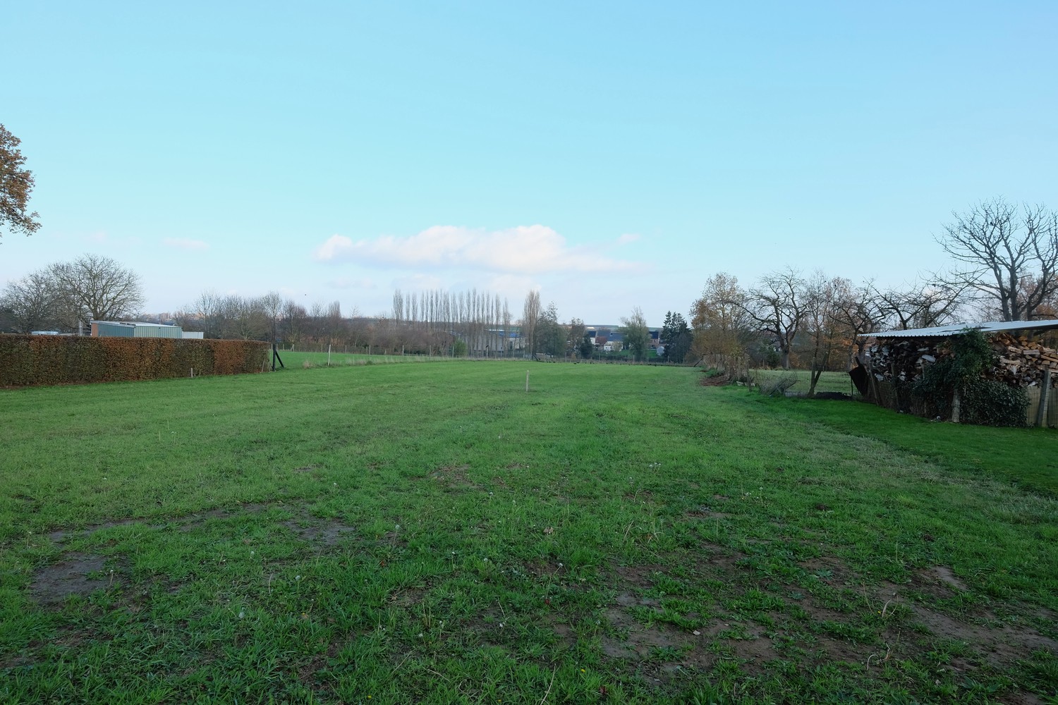 TE KOOP grond open bebouwing nabij Sint-Truiden - foto 4